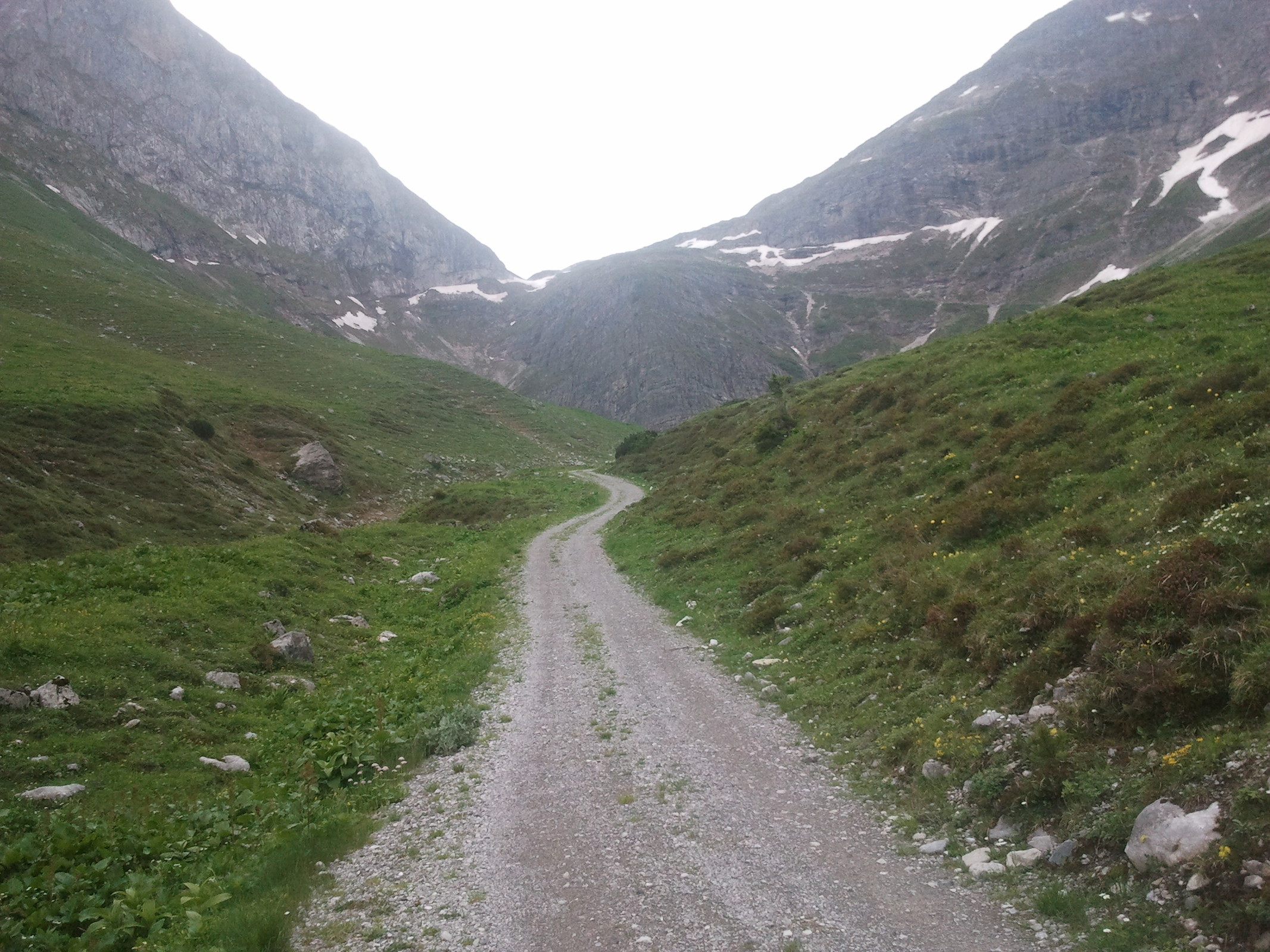 2014-06-14 10.31.17.jpg