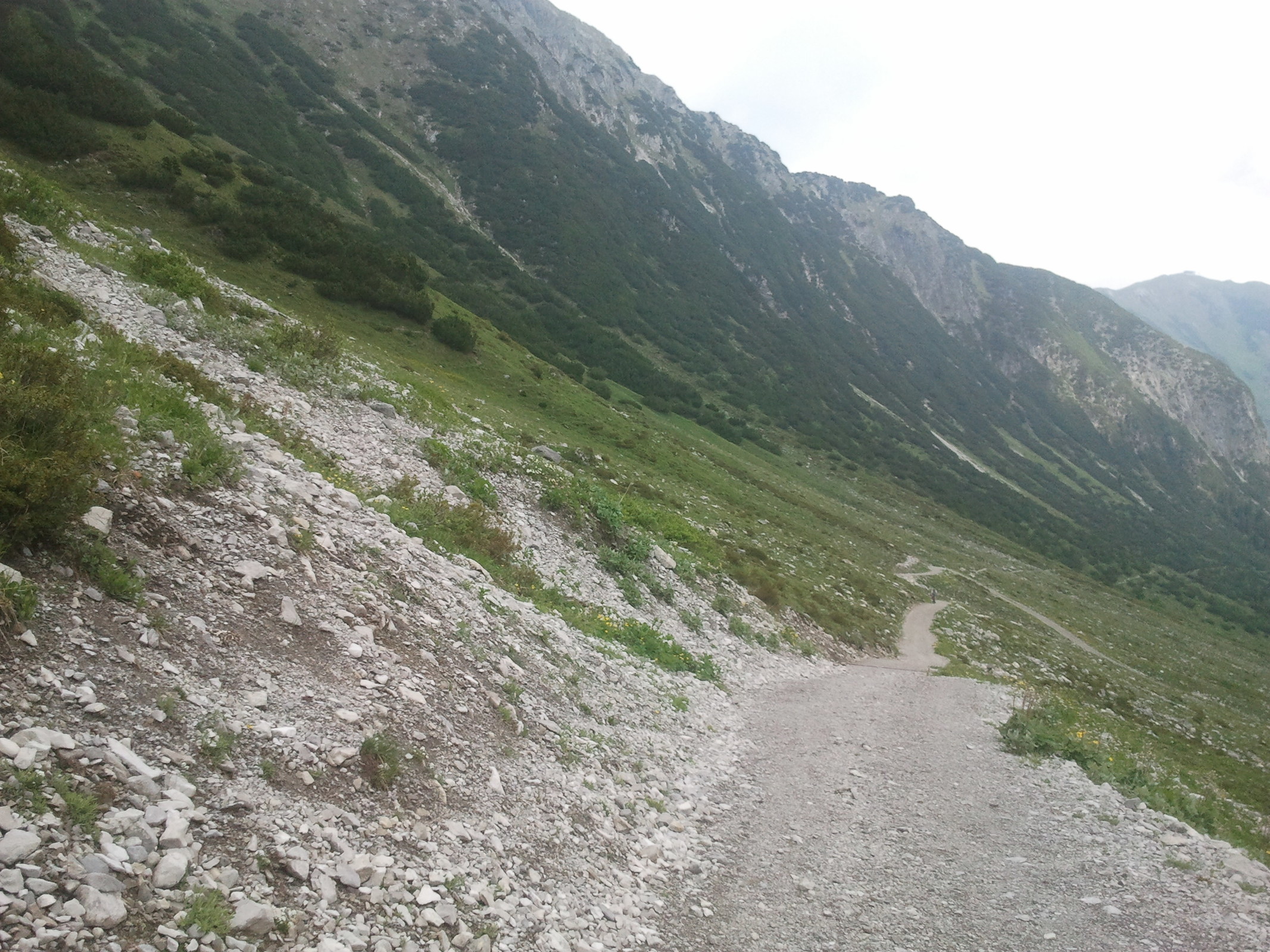 2014-06-14 10.54.52.jpg