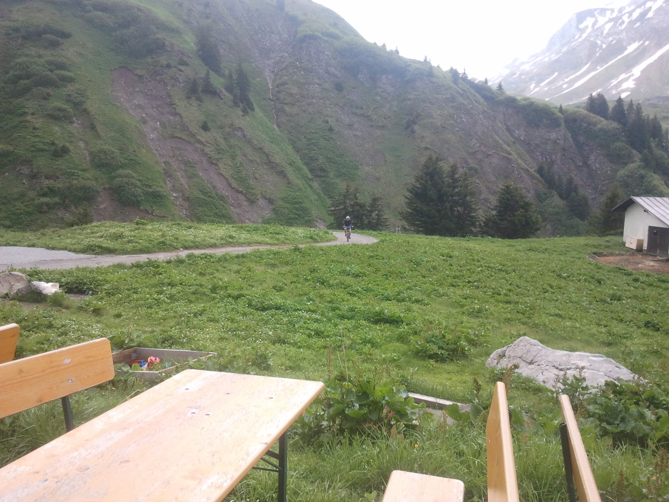 2014-06-14 11.29.49.jpg