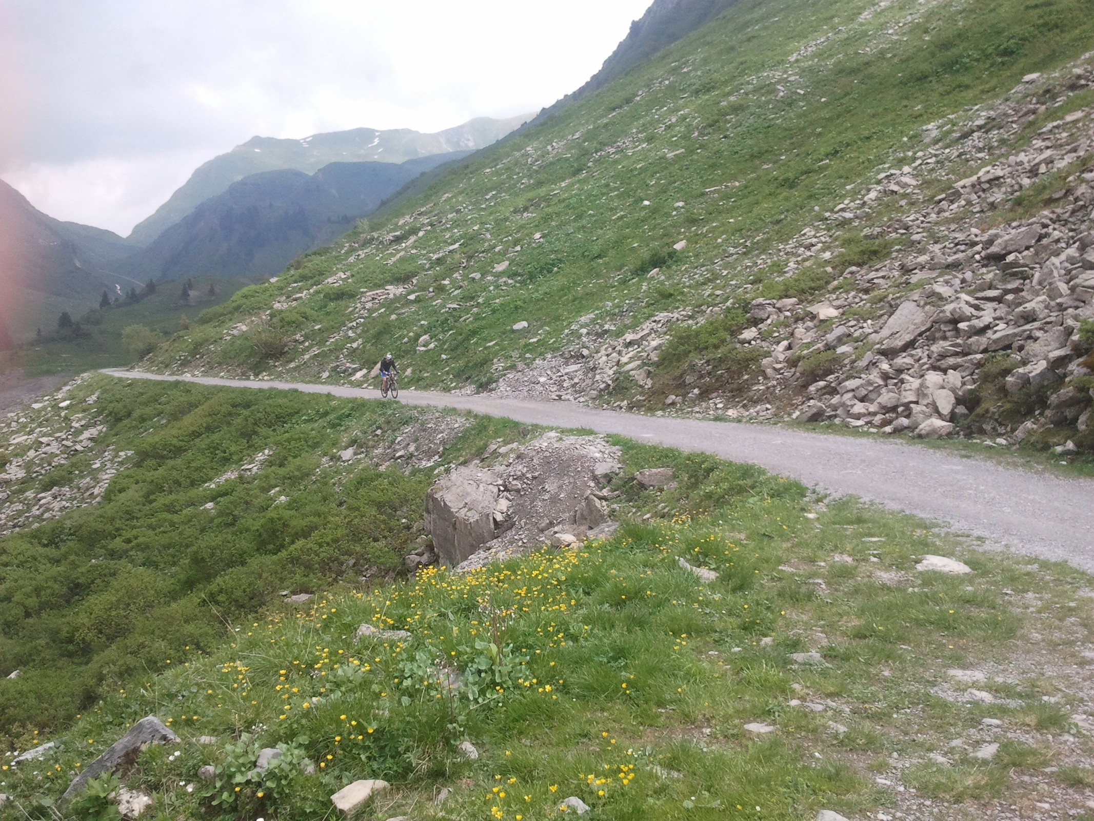 2014-06-14 12.14.52.jpg