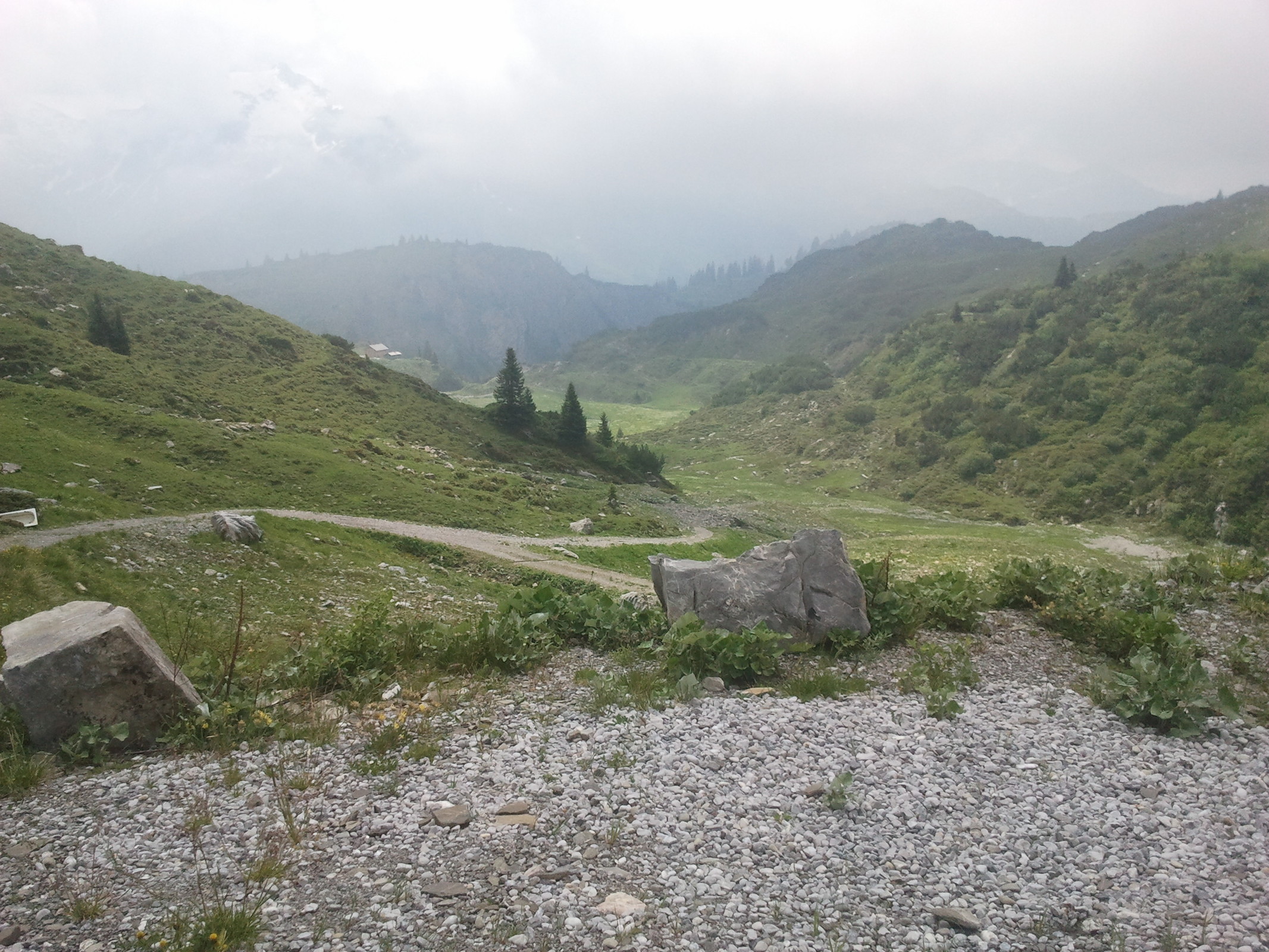 2014-06-14 12.26.14.jpg