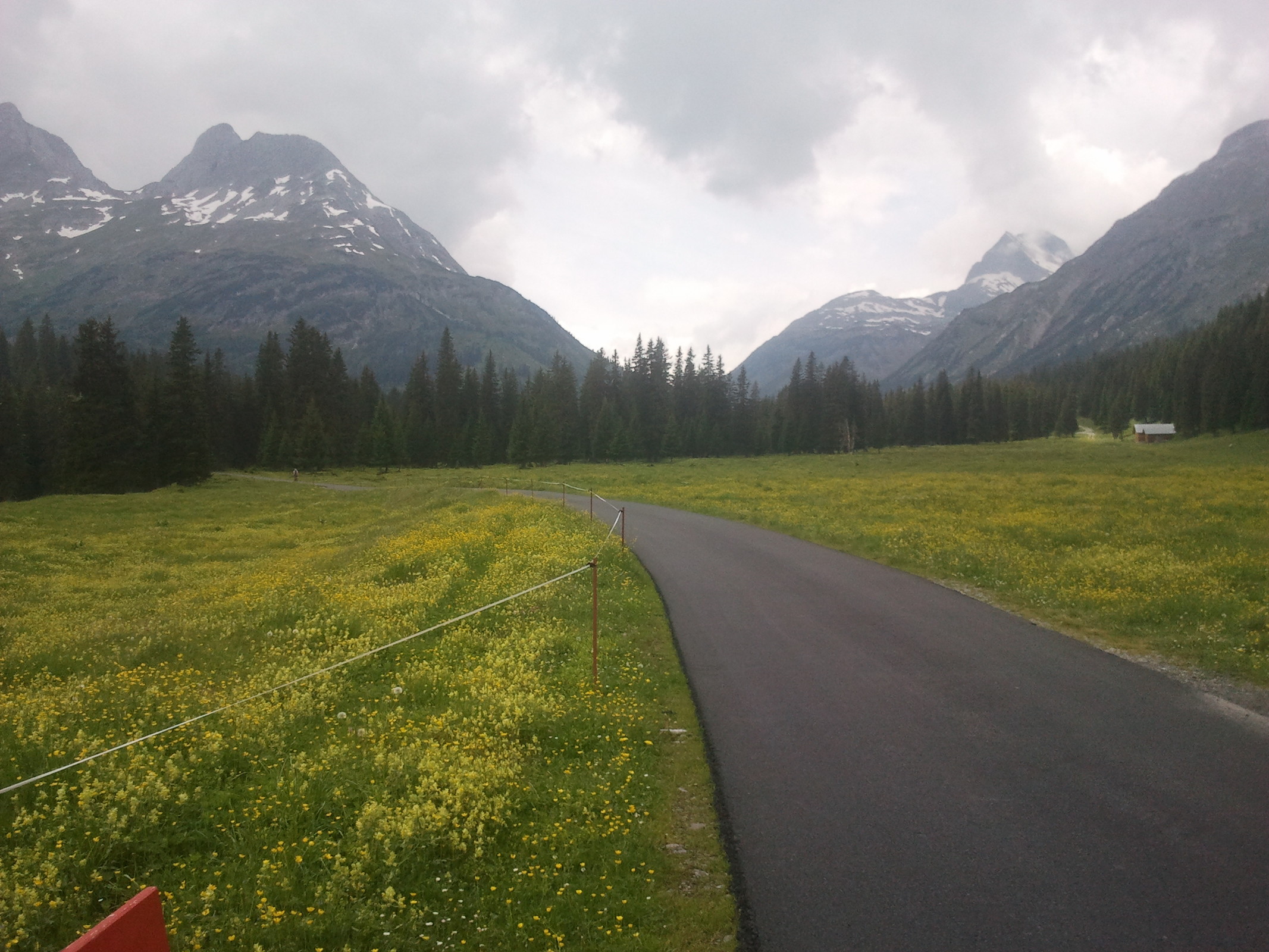 2014-06-14 13.08.09.jpg