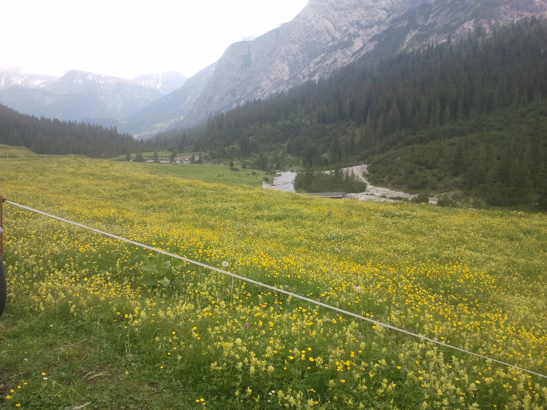 2014-06-14 13.09.51.jpg