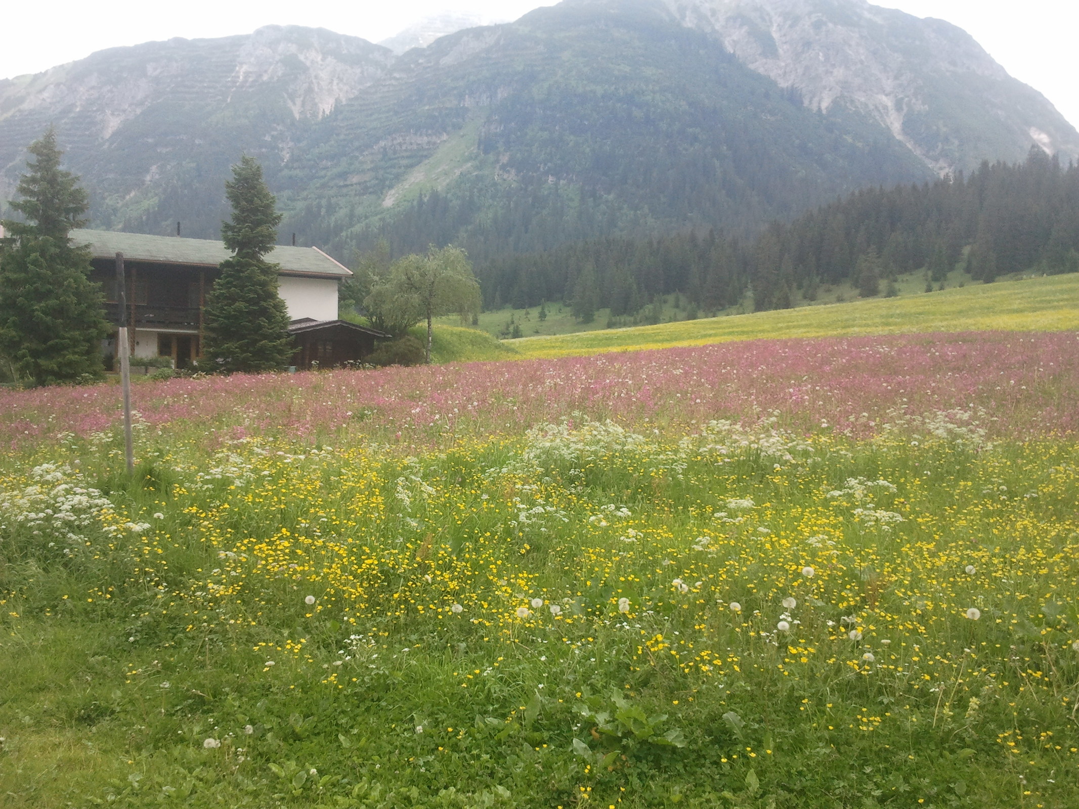 2014-06-14 13.40.46.jpg