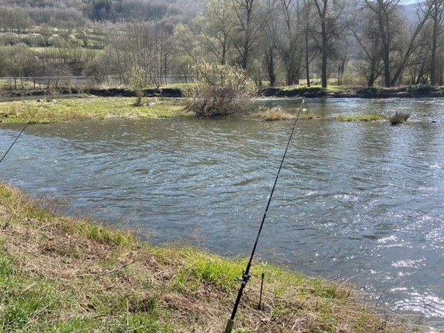 Mein Lagerkoller aktuell. Grausam!