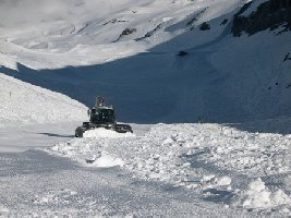 Und hier noch ein bild vom letzten winter des leitwolf w der das rotegg darauf krabelt apropro winter es söll endlich wieder mal winter werden ???
