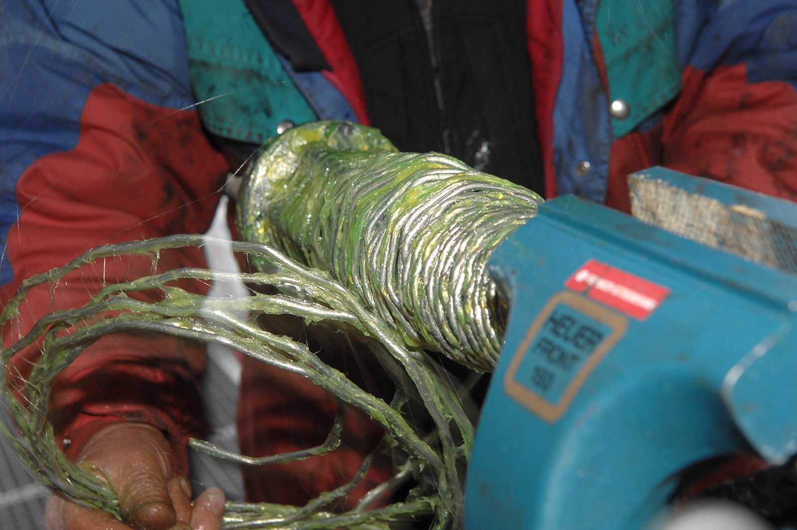 Entfernen des alten Aluminiumdrahts. Die grüne Masse (Fettfüllung) ist unglaublich klebrig.