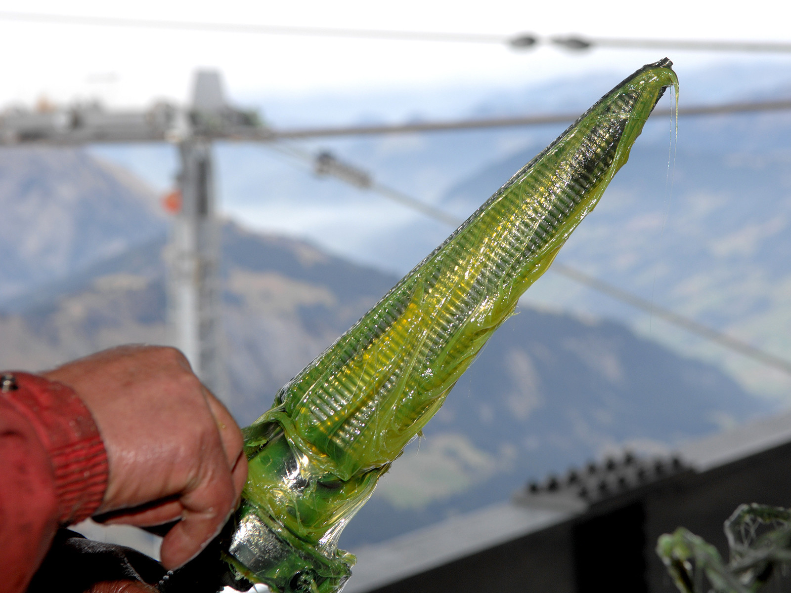 Alte Wicklung auf Kegel.