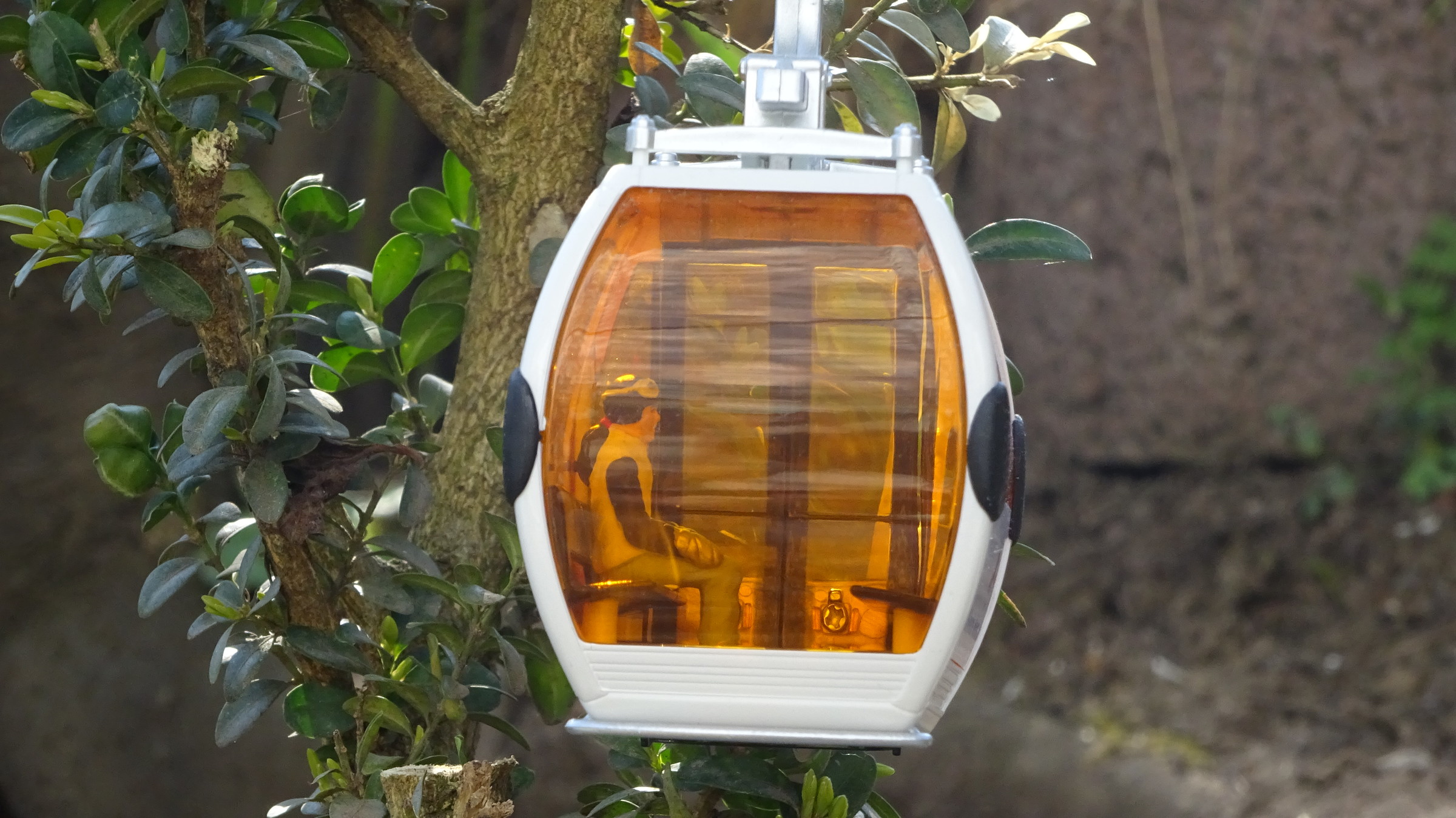 DSC02650 - Kopie.JPG