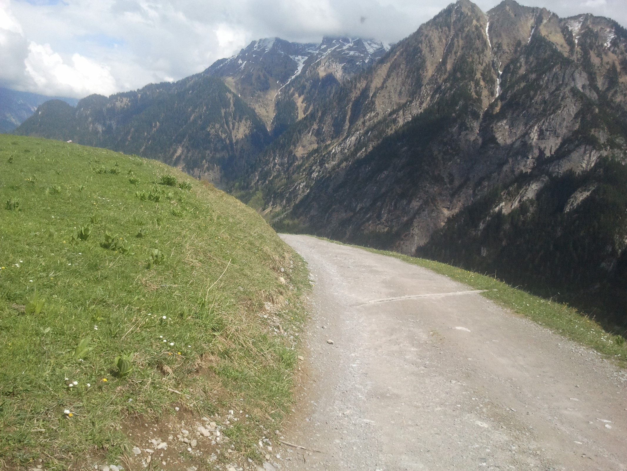 2014-05-01 15.17.54.jpg