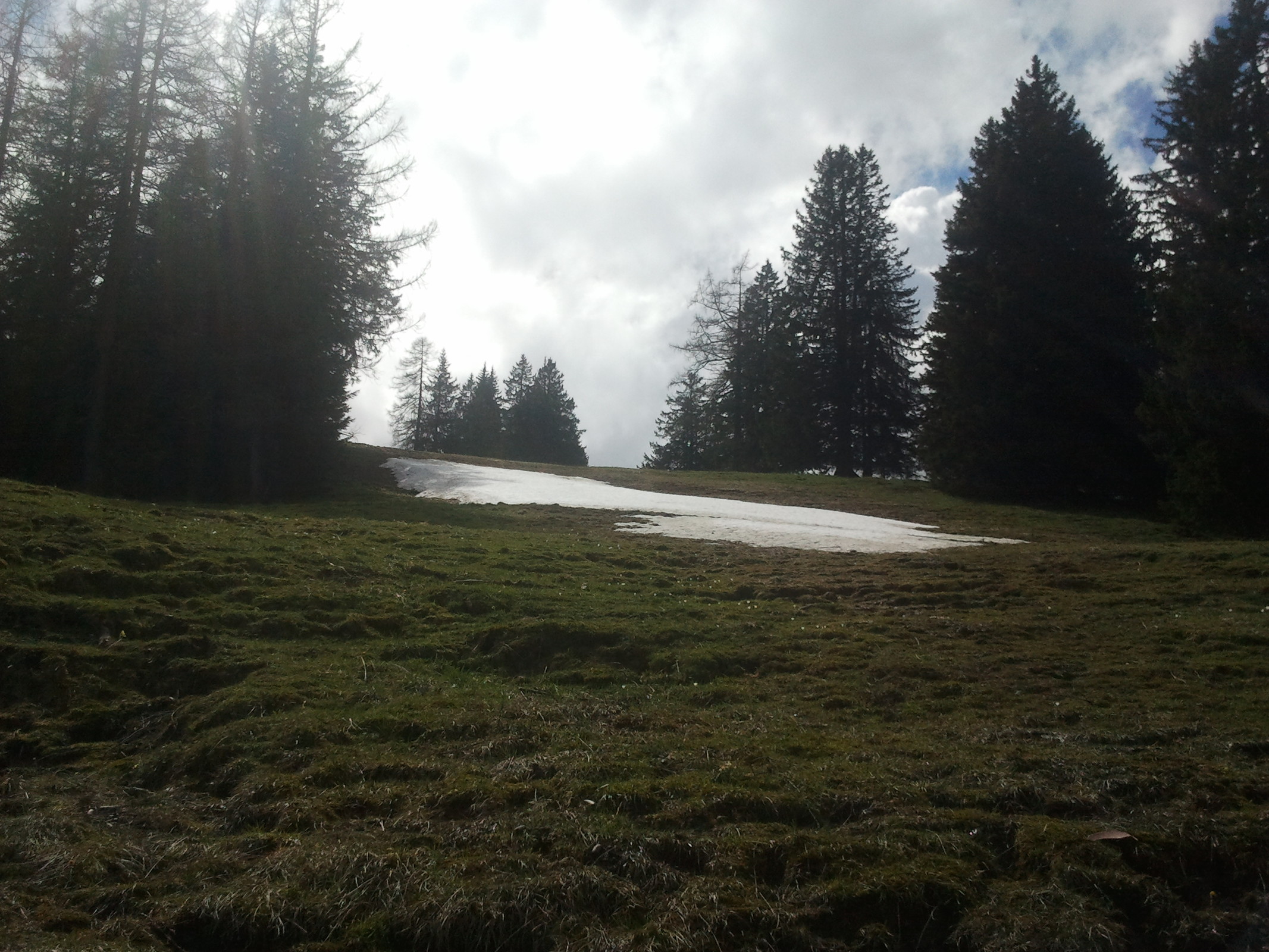 2014-05-01 15.29.09.jpg