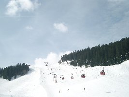 Oberer Teil Sektion 1 Zwölferkogel