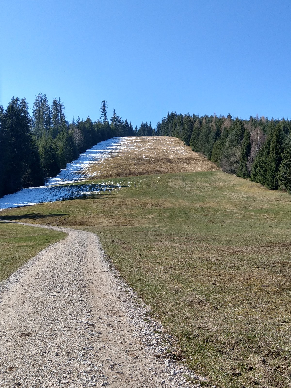 Ansicht vom gesamten Hang. Hatte sogar ganz vernünftiges Gefälle oben.