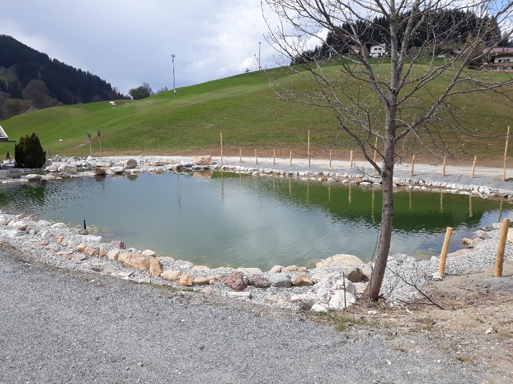 Der im Herbst umgestaltete "Fischteich"