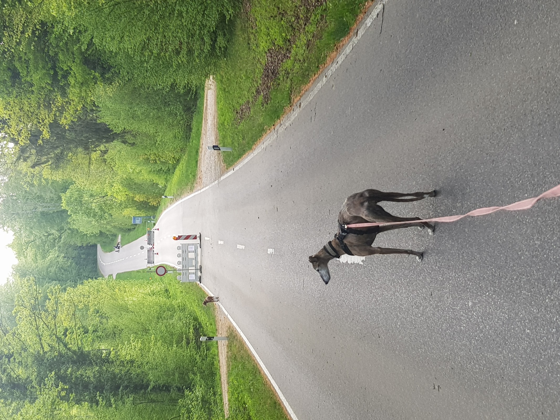 Grenze zwischen Deutschland und Schweiz