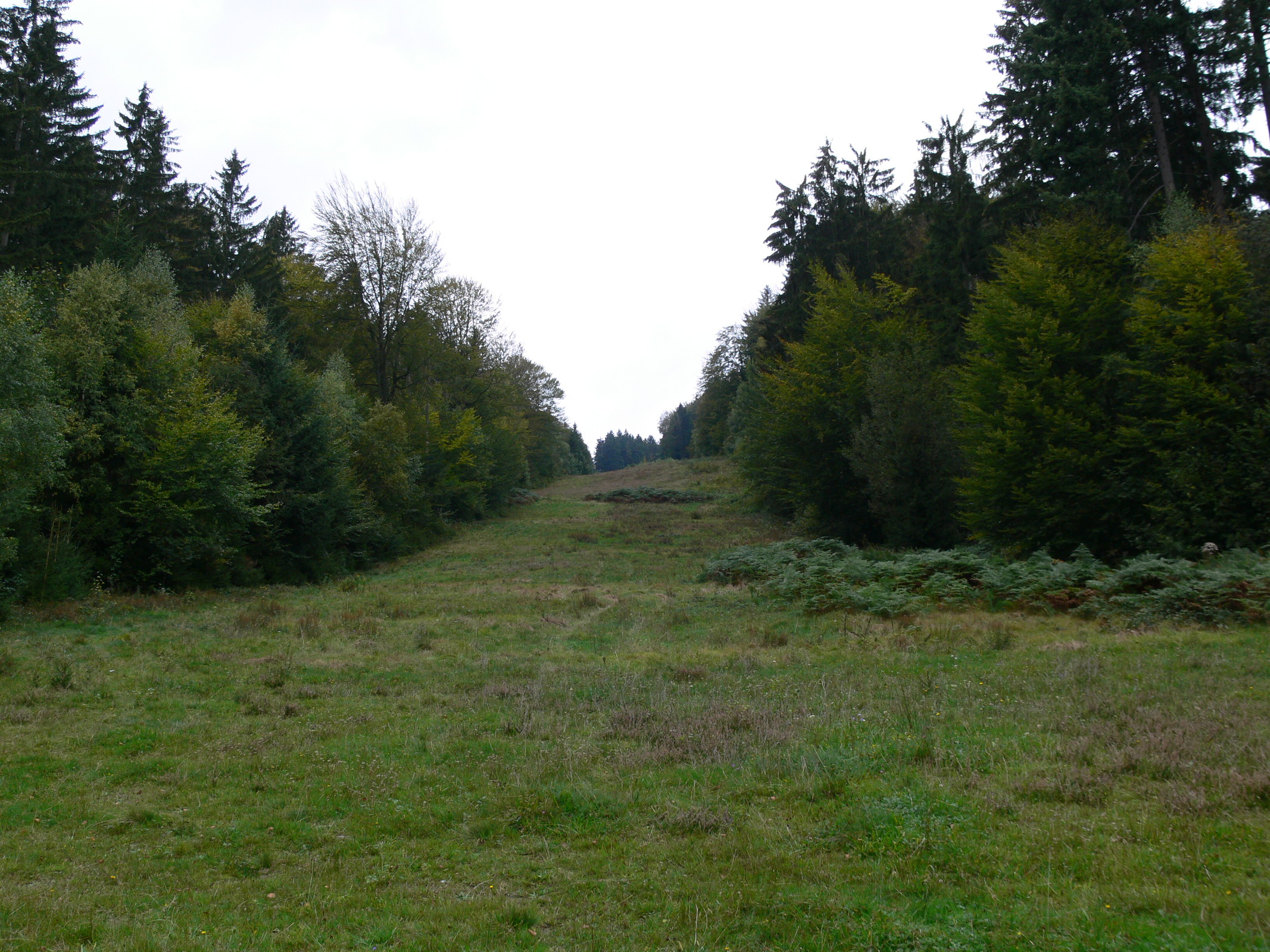 Die Abfahrt hat auf jeden Fall "schwarz" verdient, auch wenn es auf dem Bild nicht so rüberkommt.
