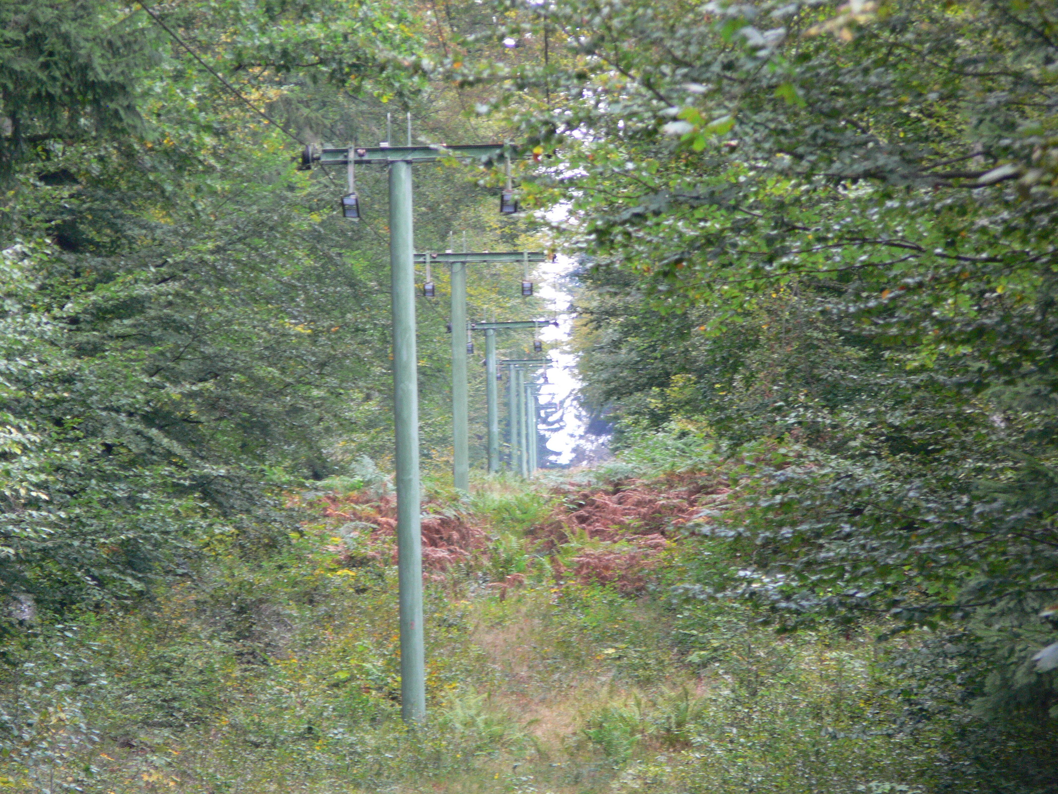 Links hinter der Baumreihe versteckt sich die stillgelegte Aufstiegshilfe. Ist das ein Heuss oder doch PHB? Die runden Stützen kann ich nicht einordnen.
