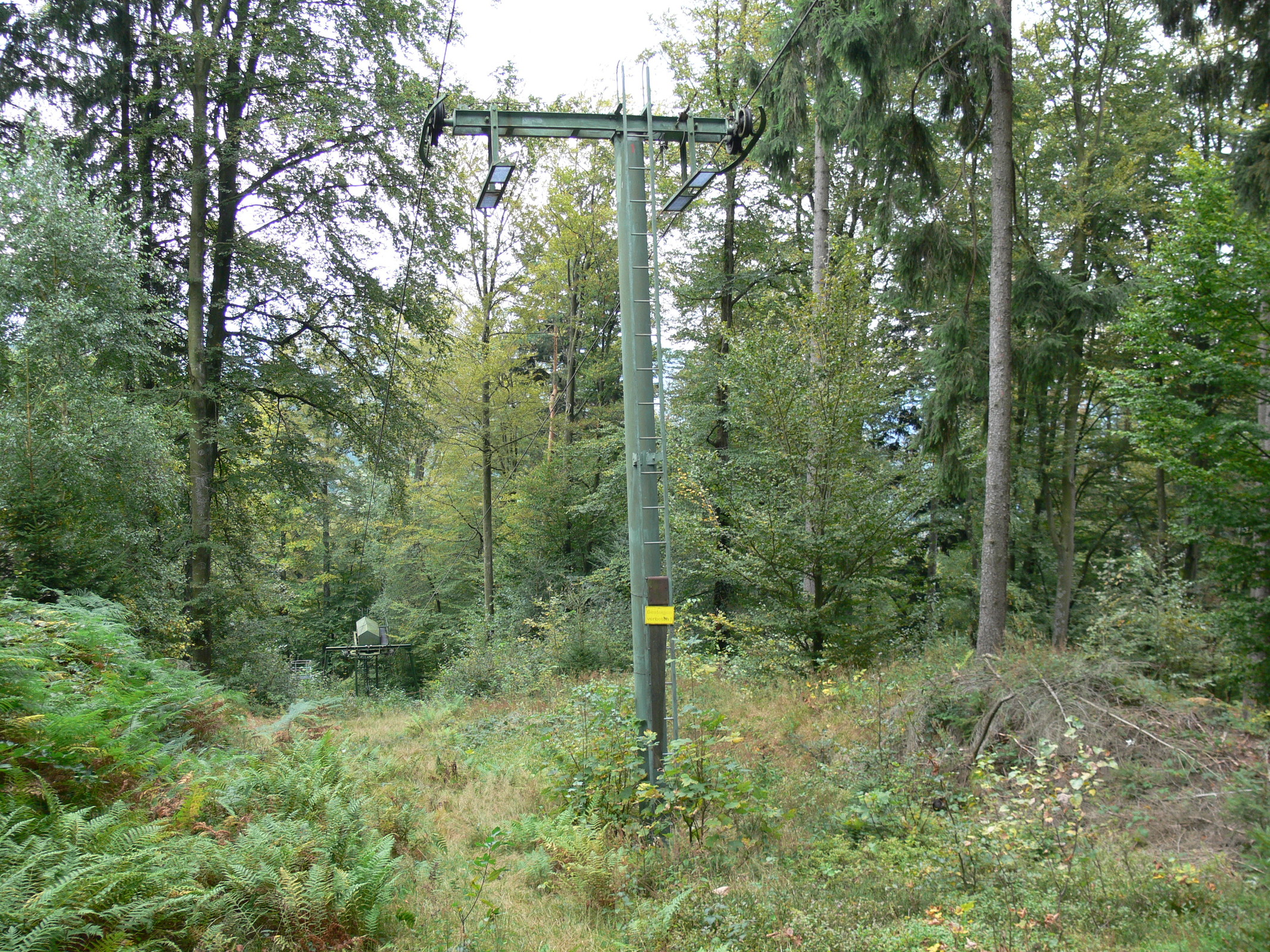 Der Antrieb versinkt schon im Urwald.