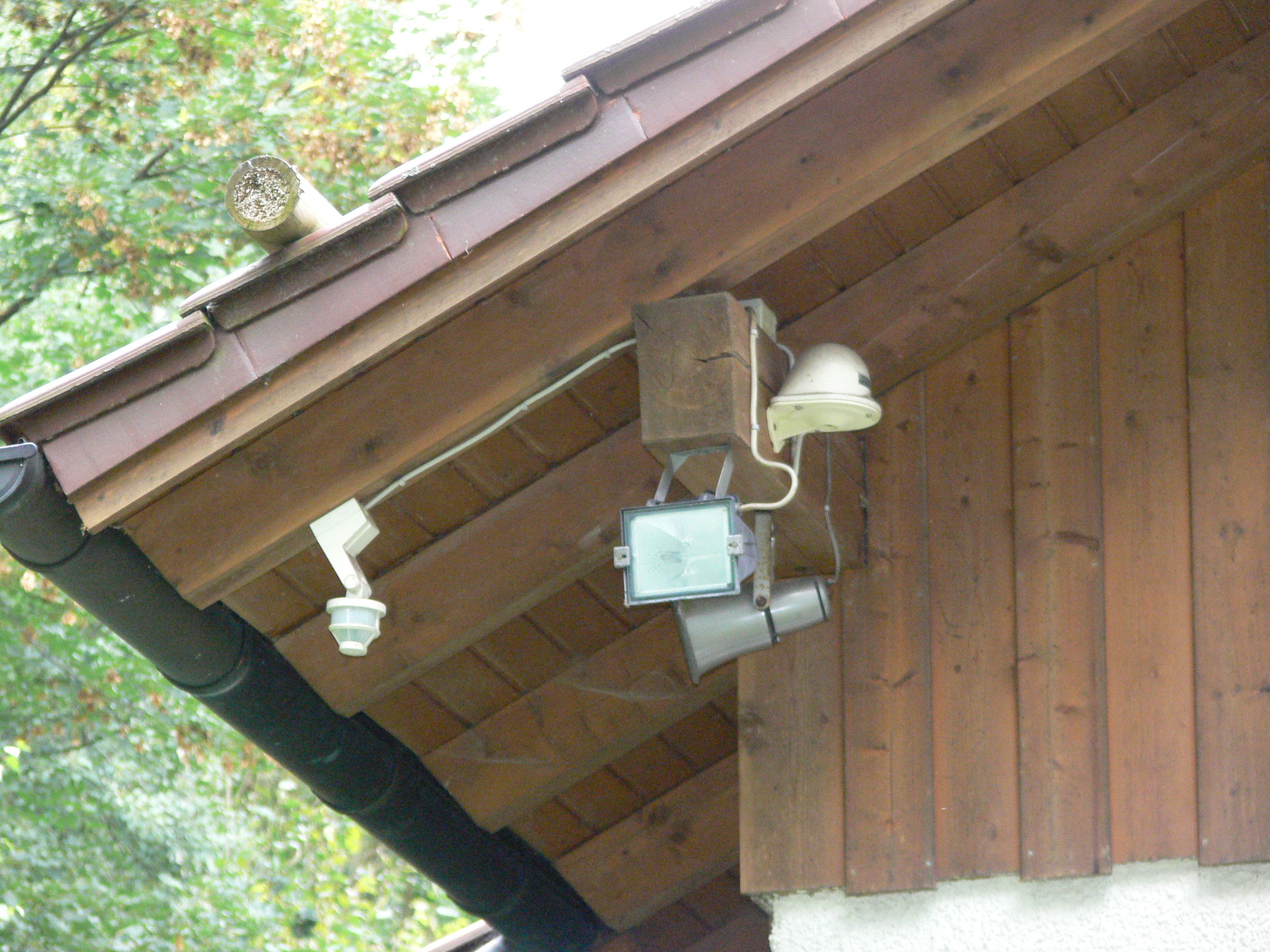 Weiß der Geier, was man hier alles auslösen kann. Wobei ein bißchen Beleuchtung bei den schwierigen Lichtverhältnissen sicher nicht geschadet hätte...