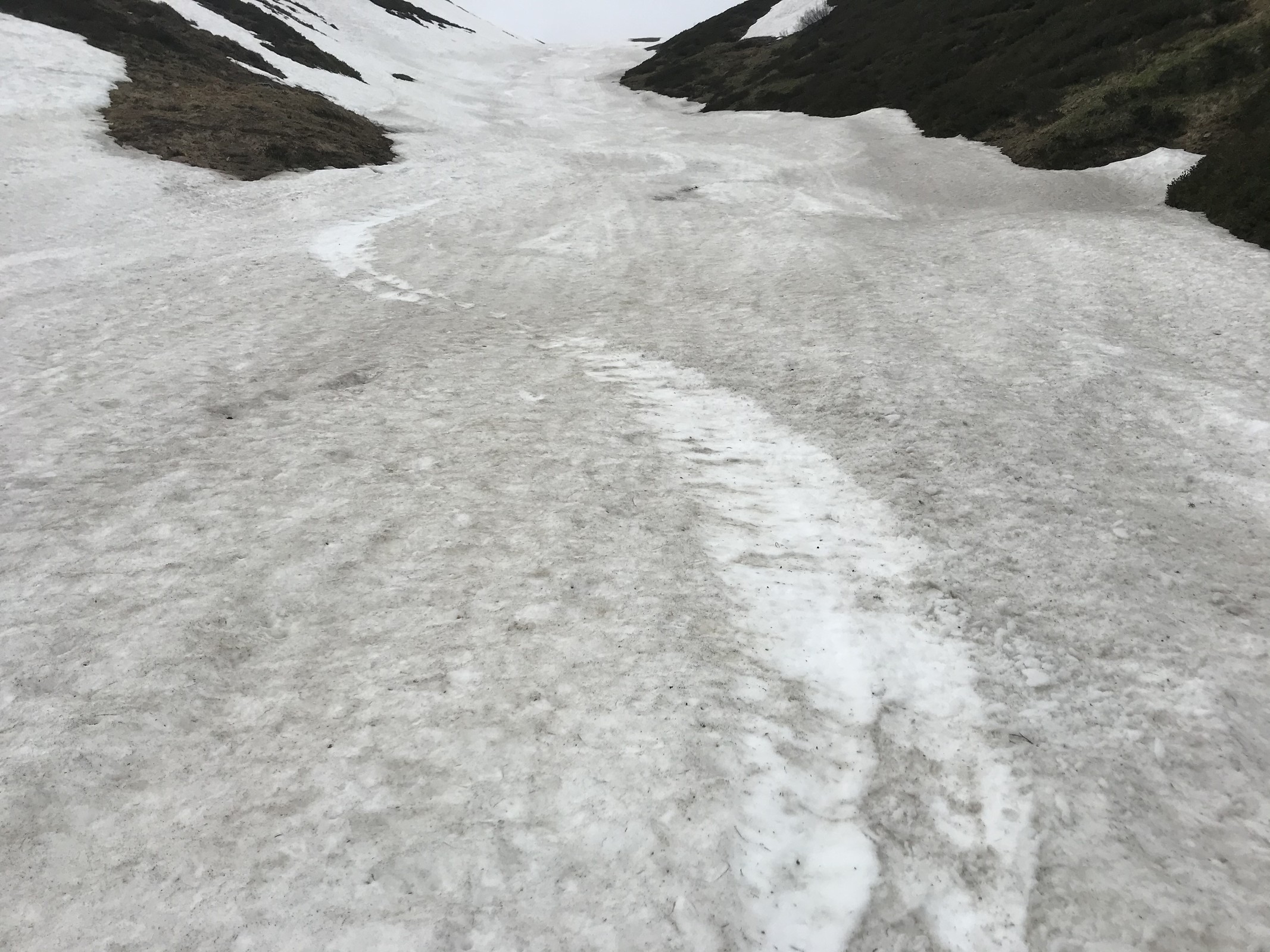 Lustig, wie die eigenen Kurven den Schnee weisswaschen ;-)