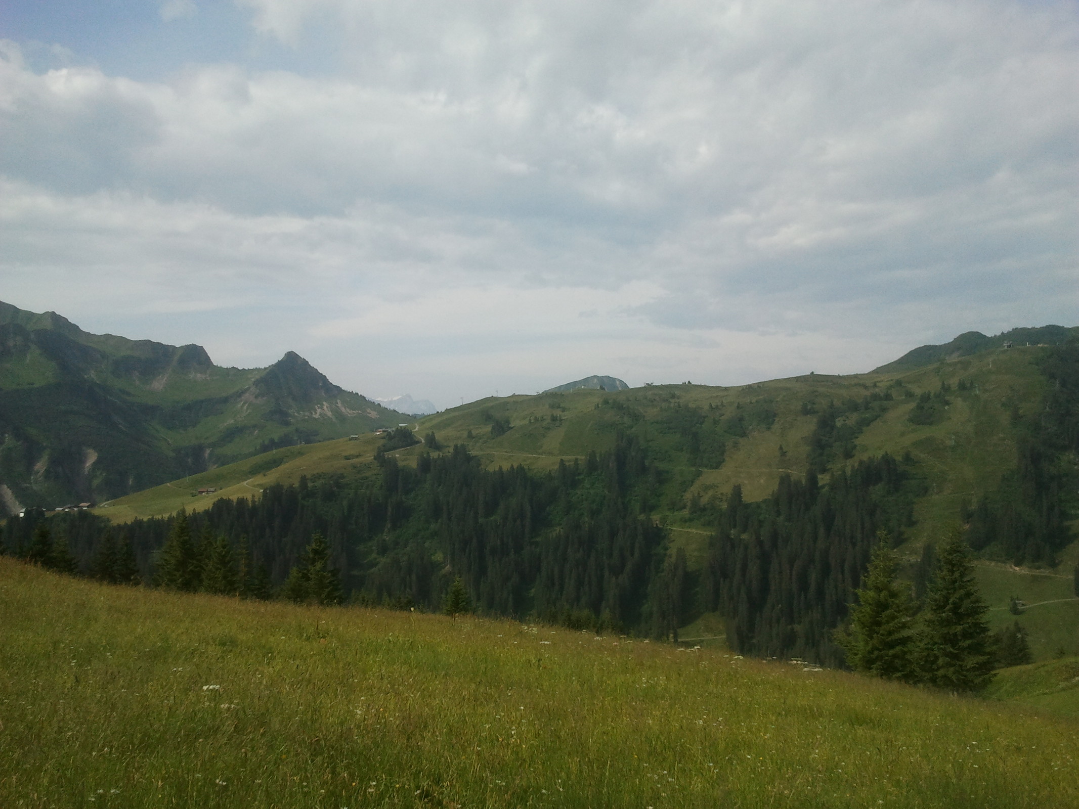 2014-07-20 09.52.57.jpg