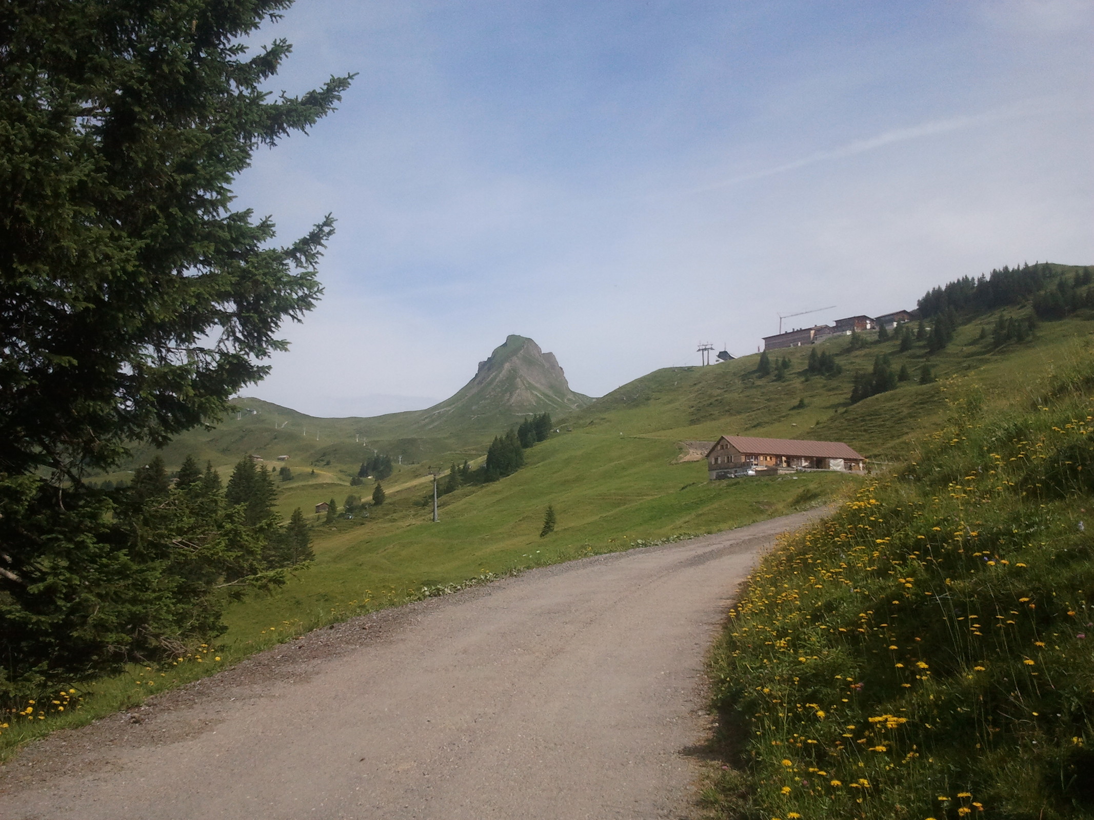 2014-07-20 10.07.45.jpg