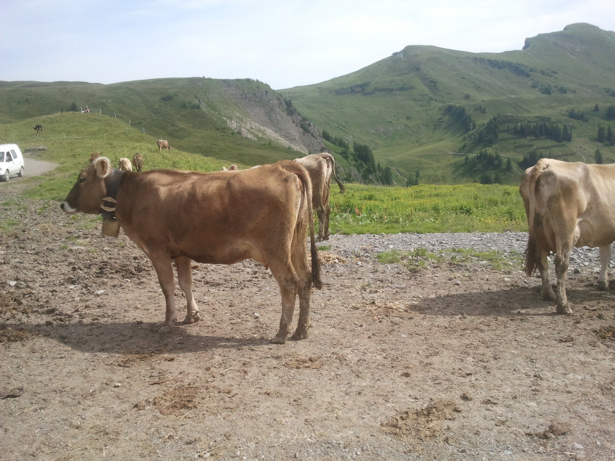 2014-07-20 10.24.40.jpg