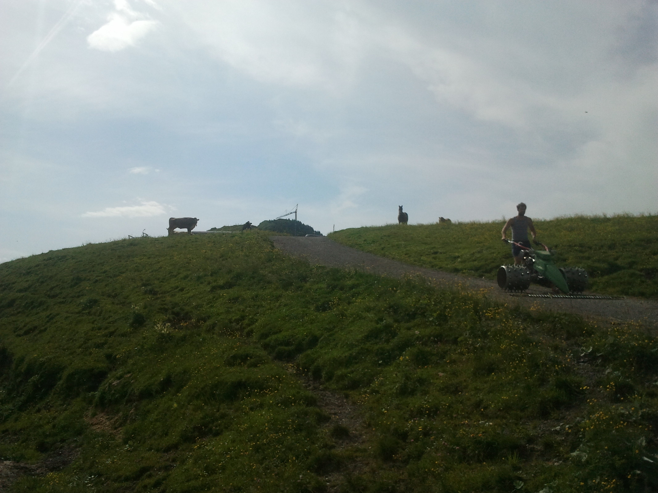 2014-07-20 10.24.55.jpg