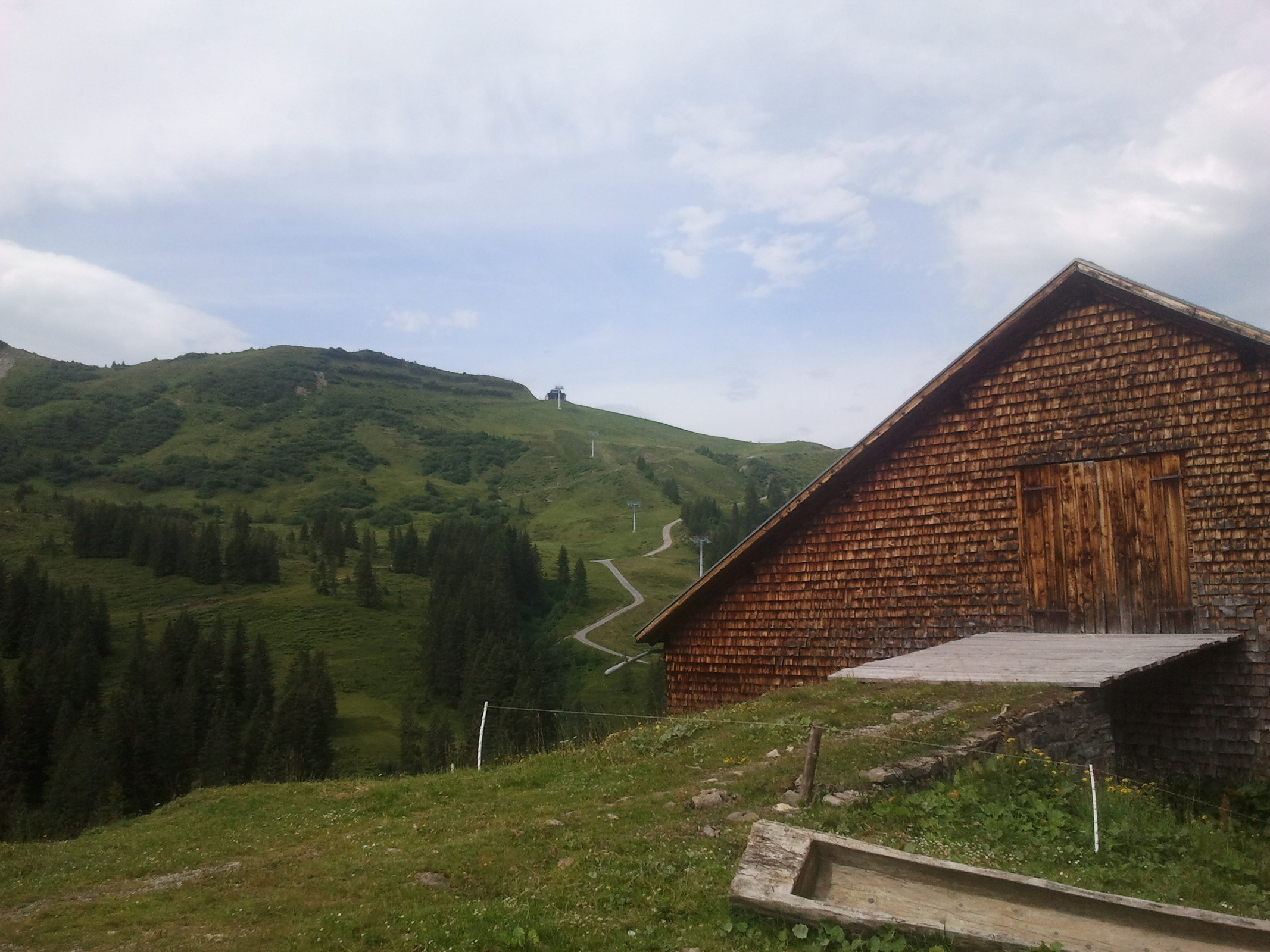 2014-07-20 10.36.07.jpg