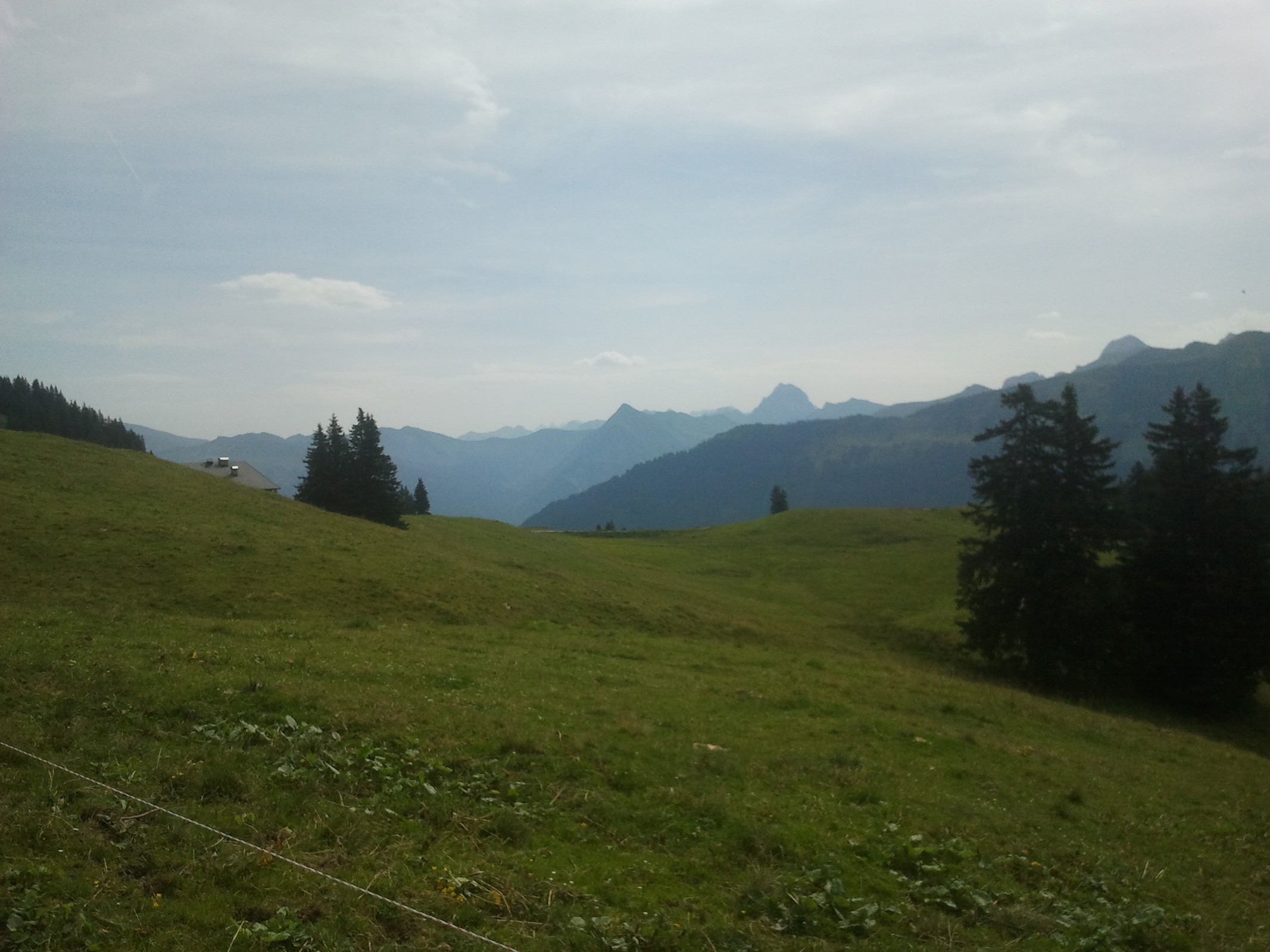 2014-07-20 10.43.53.jpg