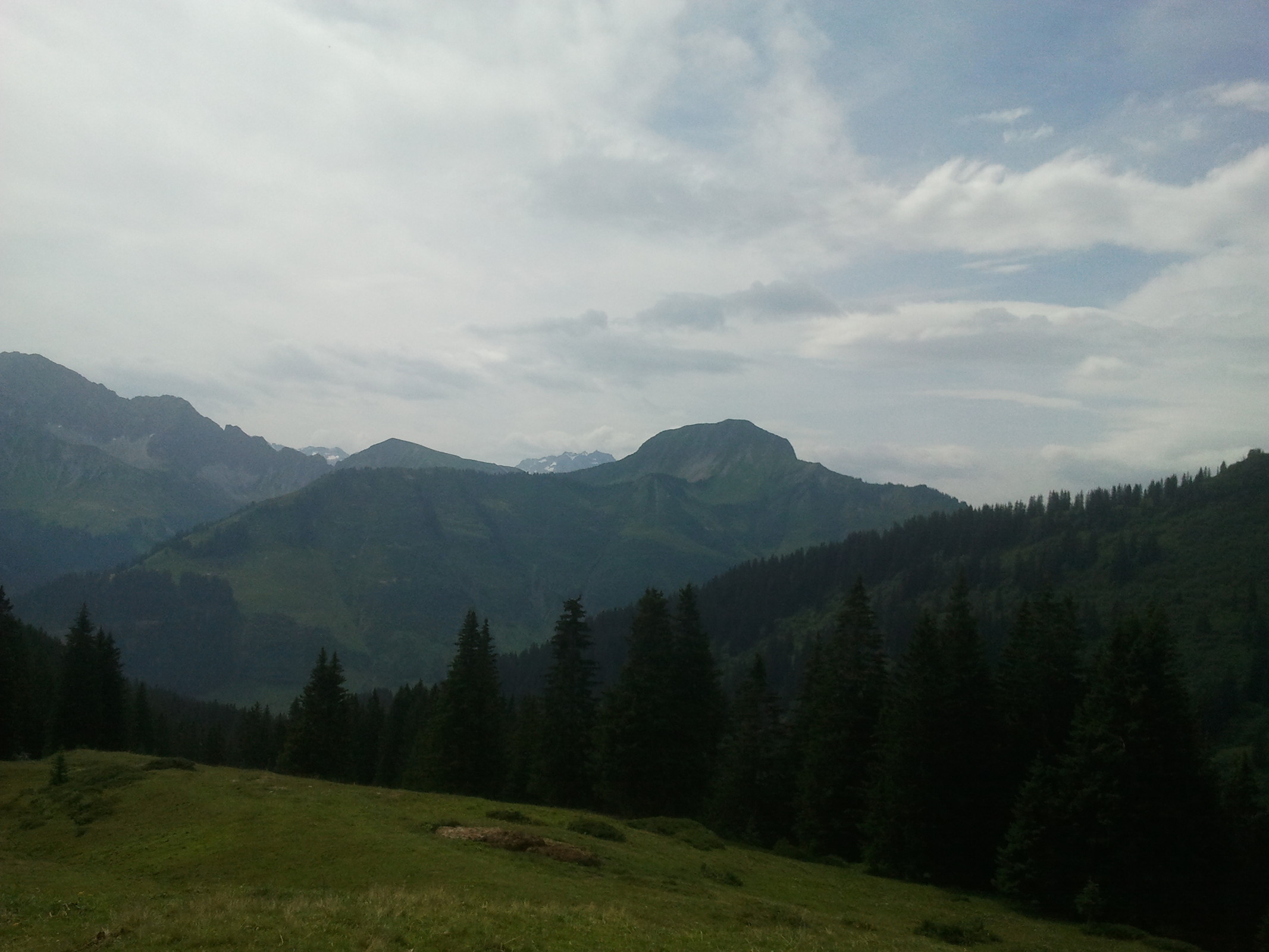 2014-07-20 10.44.04.jpg