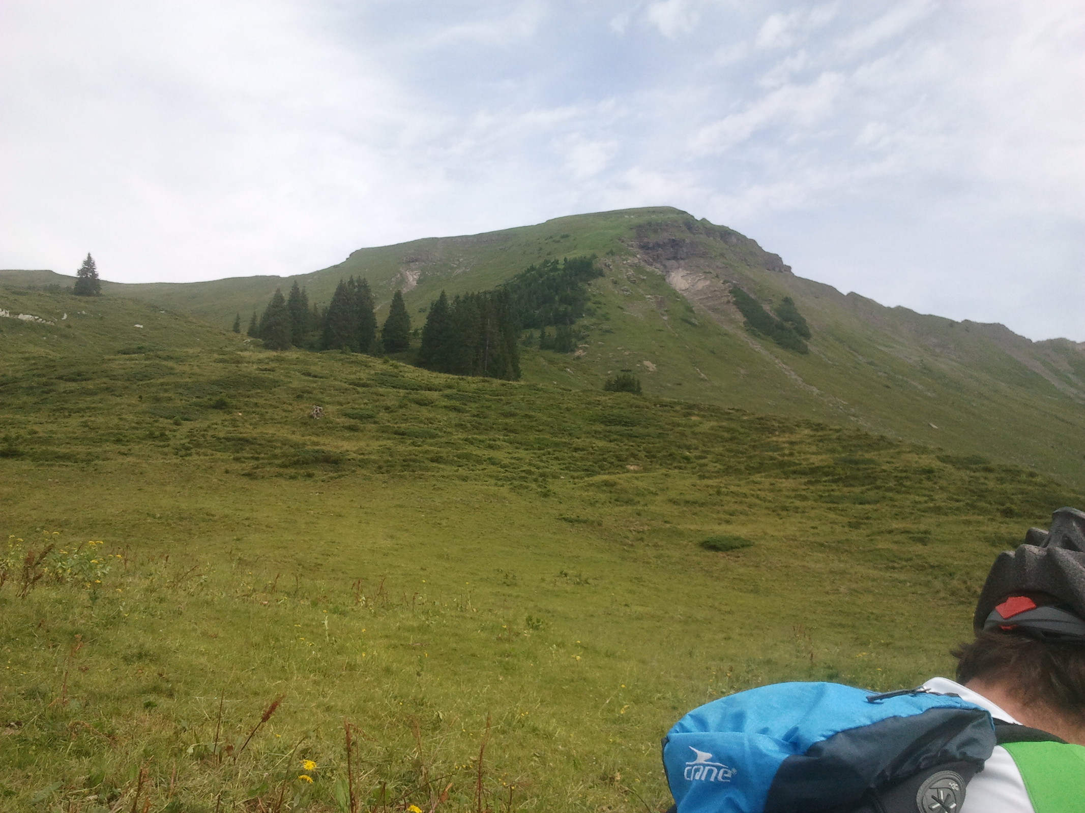 2014-07-20 10.44.57.jpg