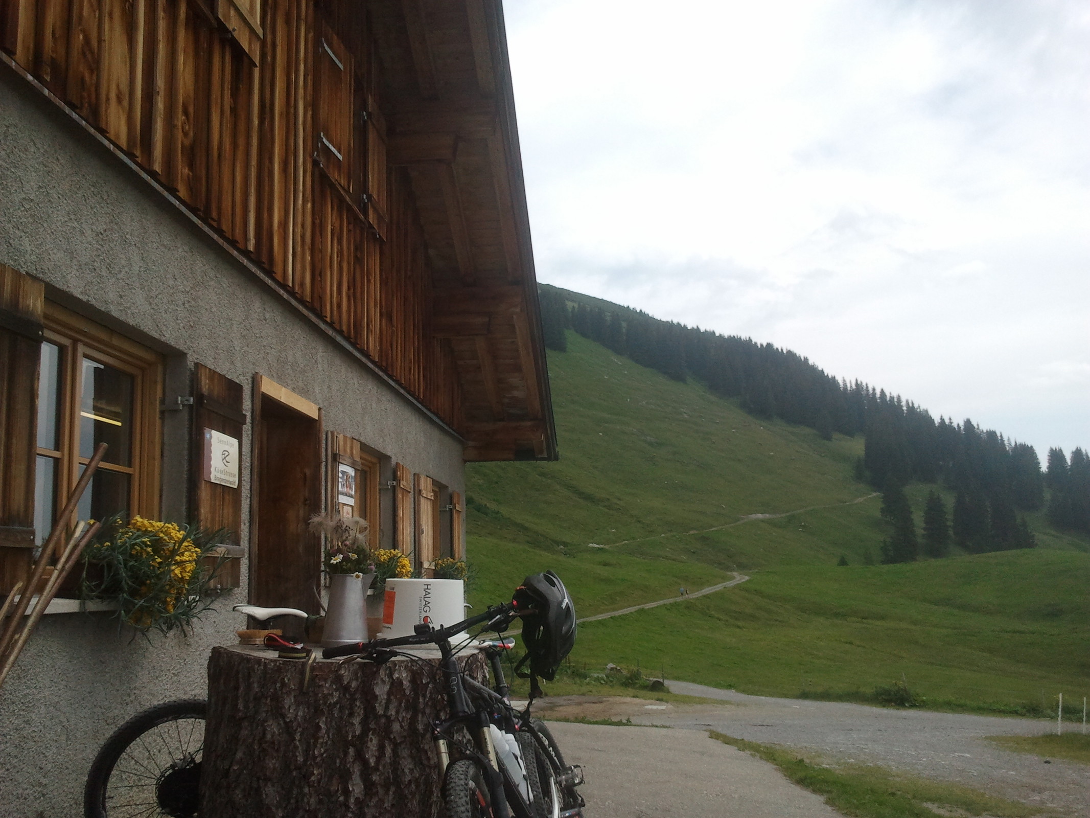 2014-07-20 11.13.02.jpg