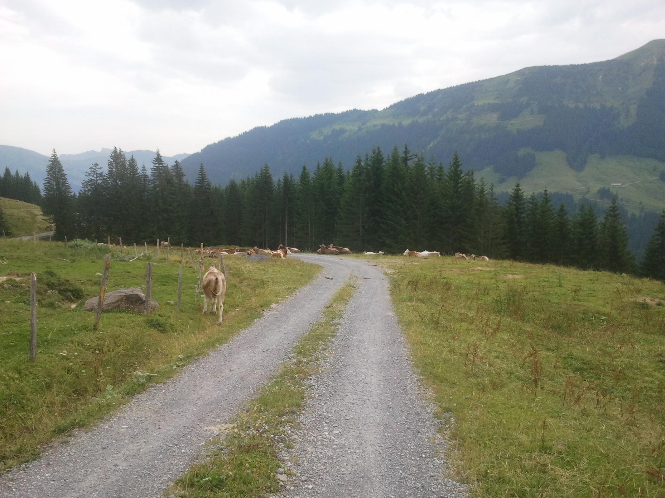 2014-07-20 11.30.17.jpg