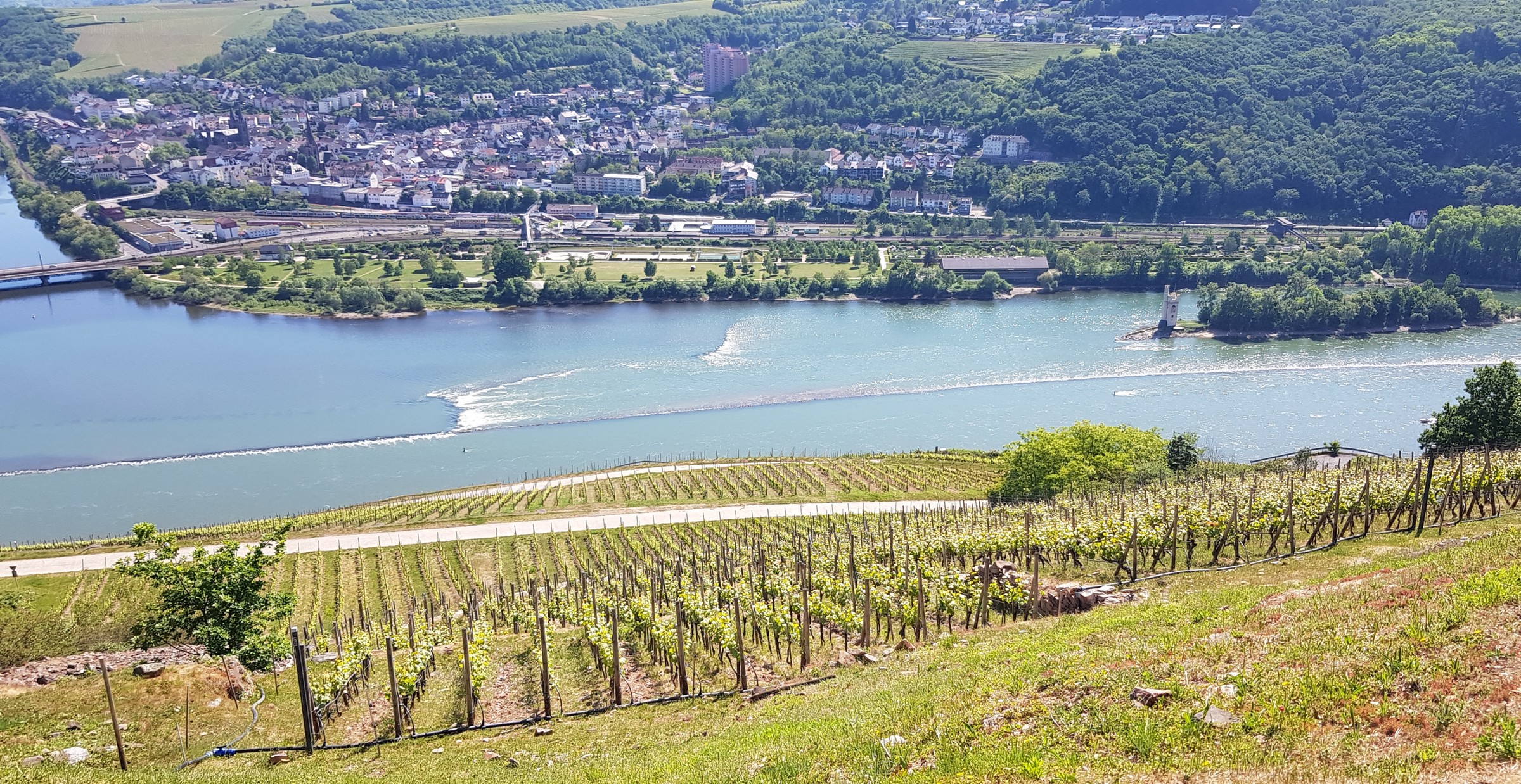 Binger Loch und Mäuseturm