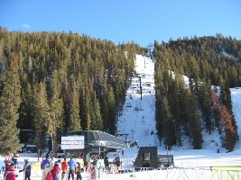 Im milden Abendlicht zeigen sich die vielen Bäume von ihrer schönsten Seite