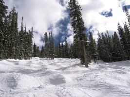 Perfektes Trainingsterrain