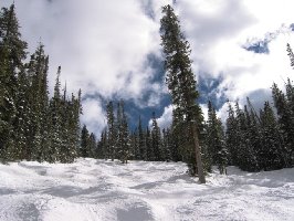 Mehr behauptet er fährt gut Ski, der kann  sich hier beweisen und eine schnelle Kante hinunter legen...