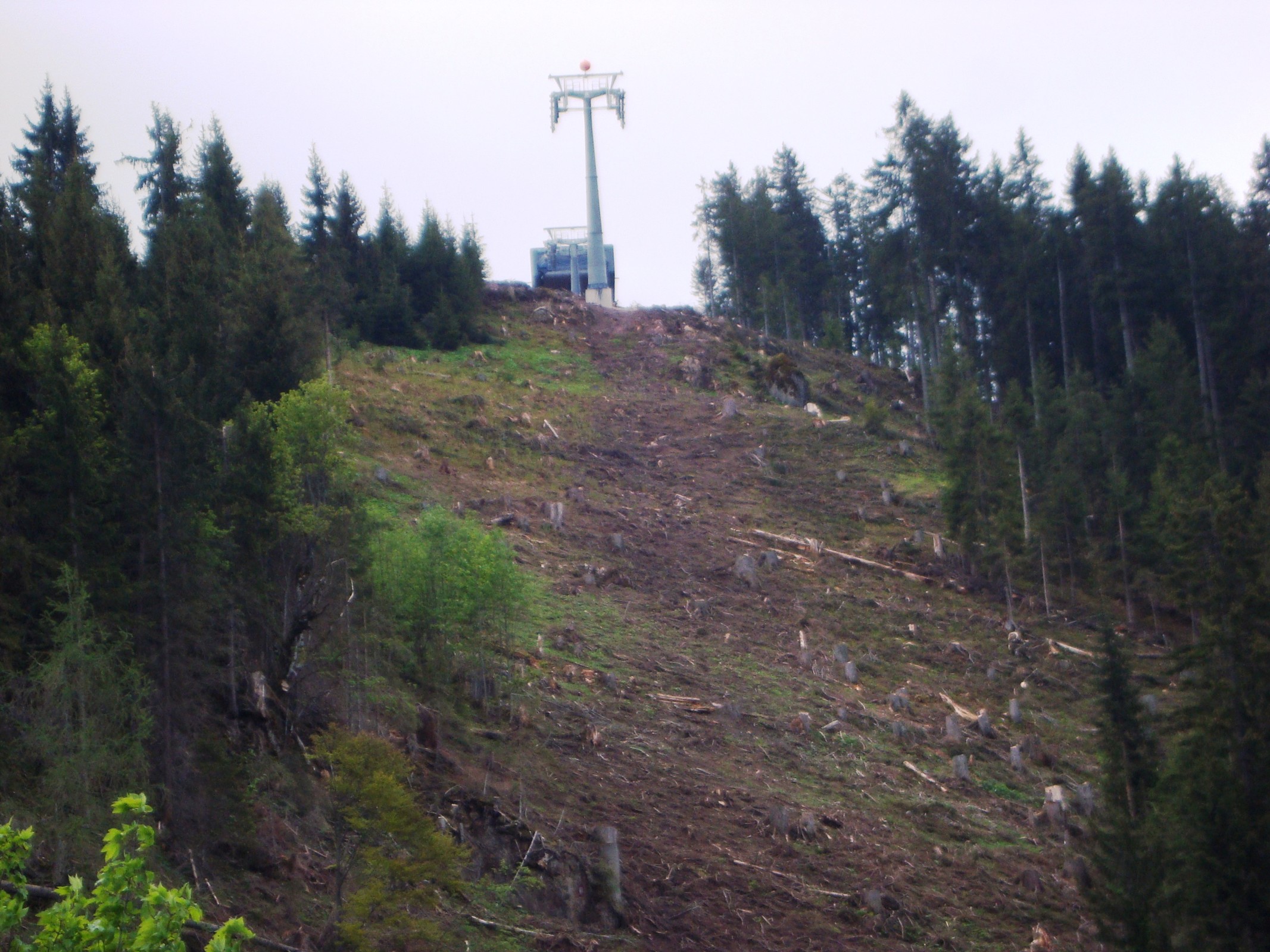 Blick zur Bergstation