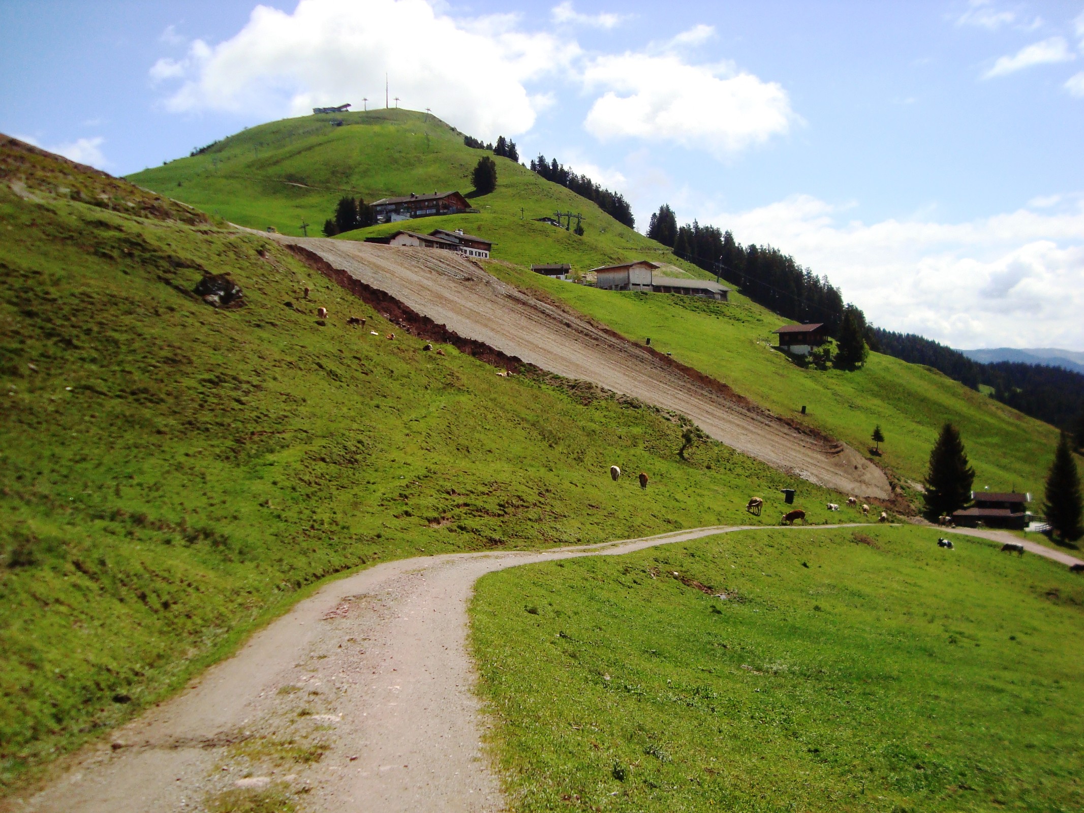 Wanderung Rigi 24.5.2020 059.JPG