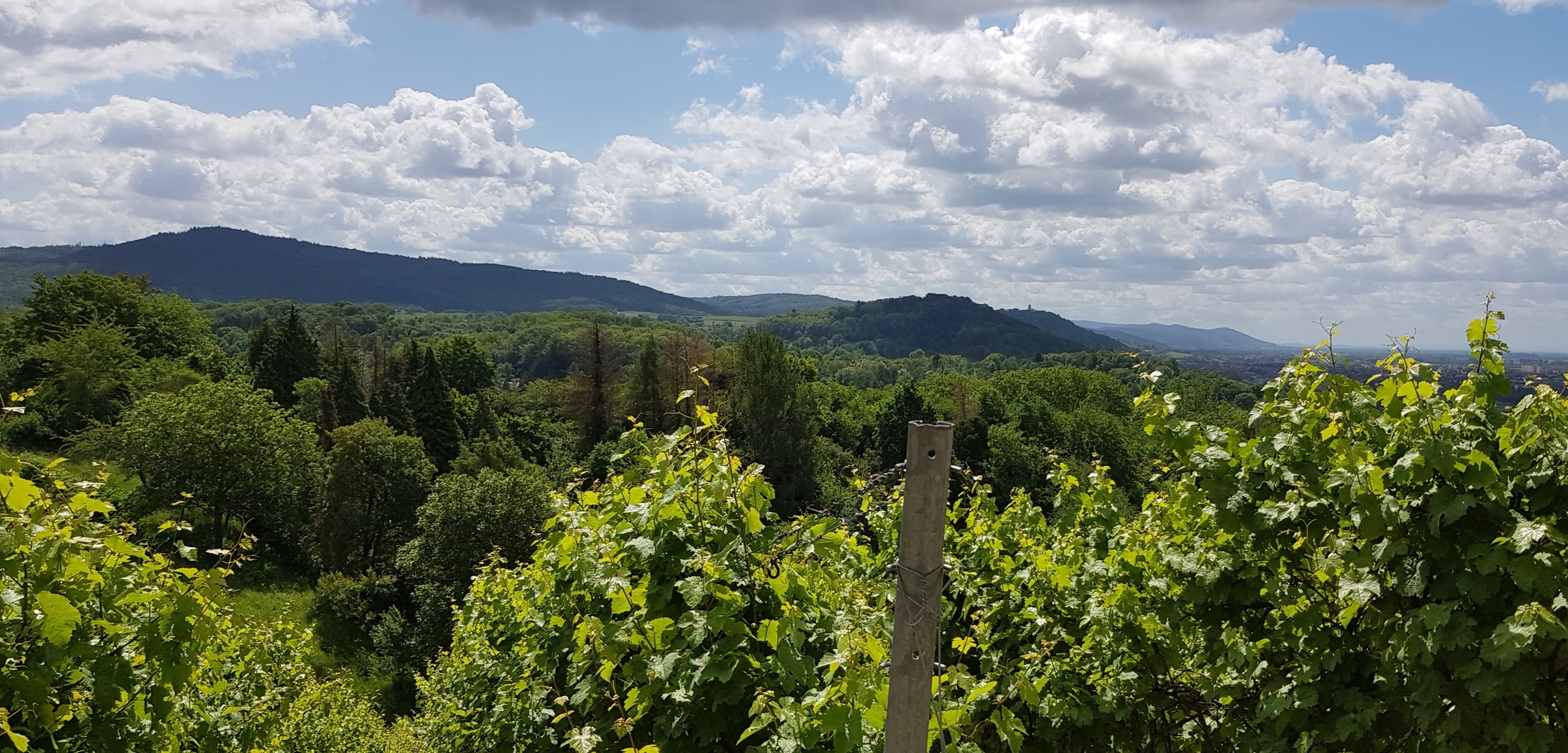 Blick Richtung Starkenburg