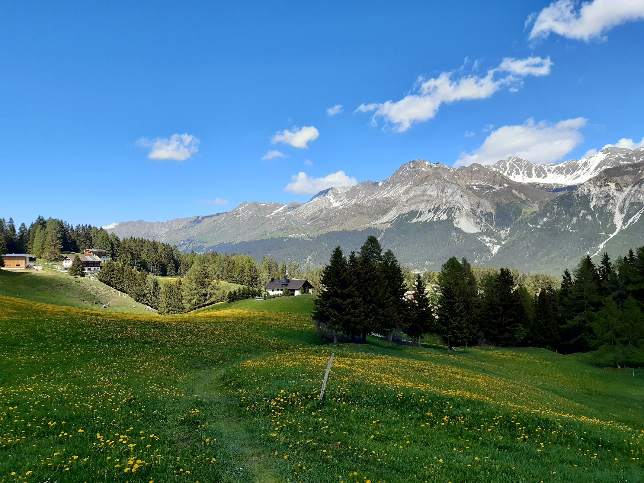 21. Mai: Oberhalb Val Sporz