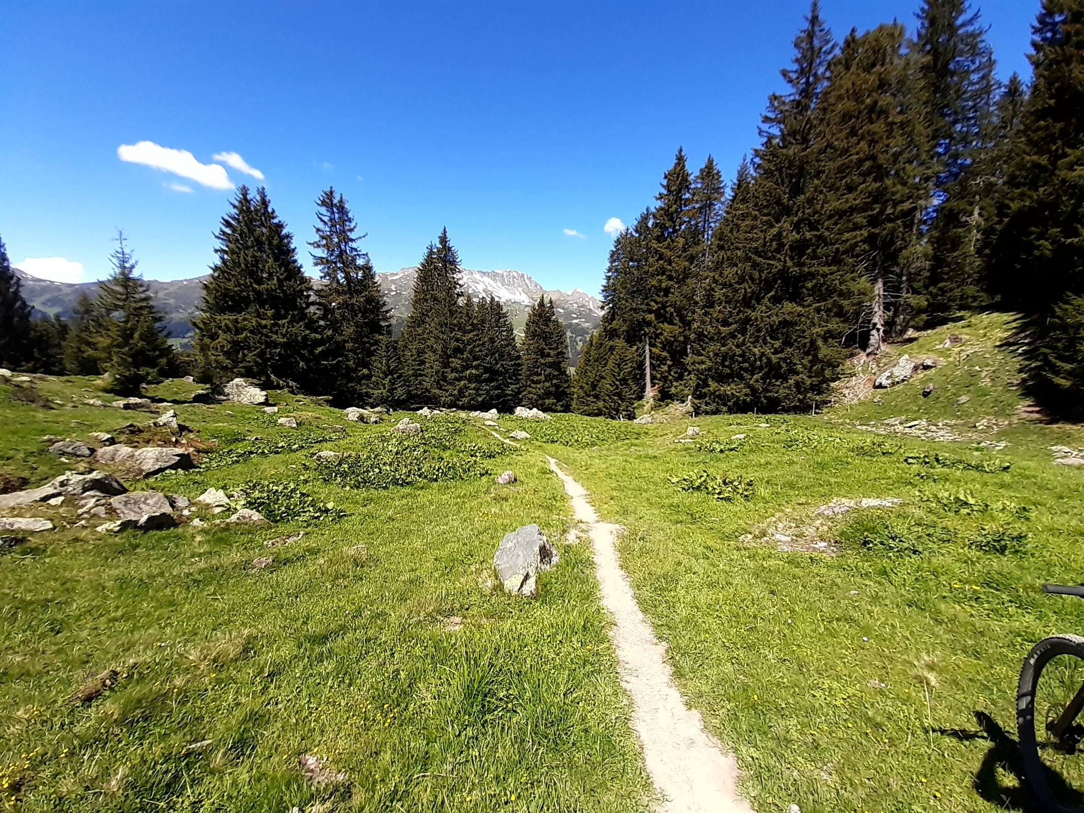 Trail nach Parpan, letzter Abschnitt