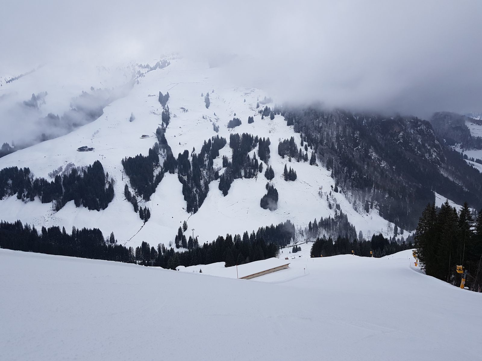 Nun auf ebenjener Piste zur TirolS. Menschenleer, griffig, Neuschneeschicht, top!
