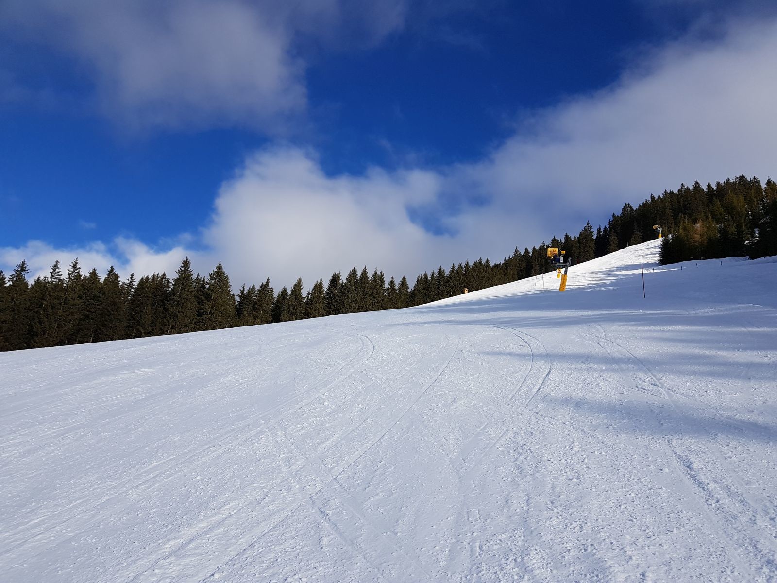 Blick von derselben Stelle nach oben.