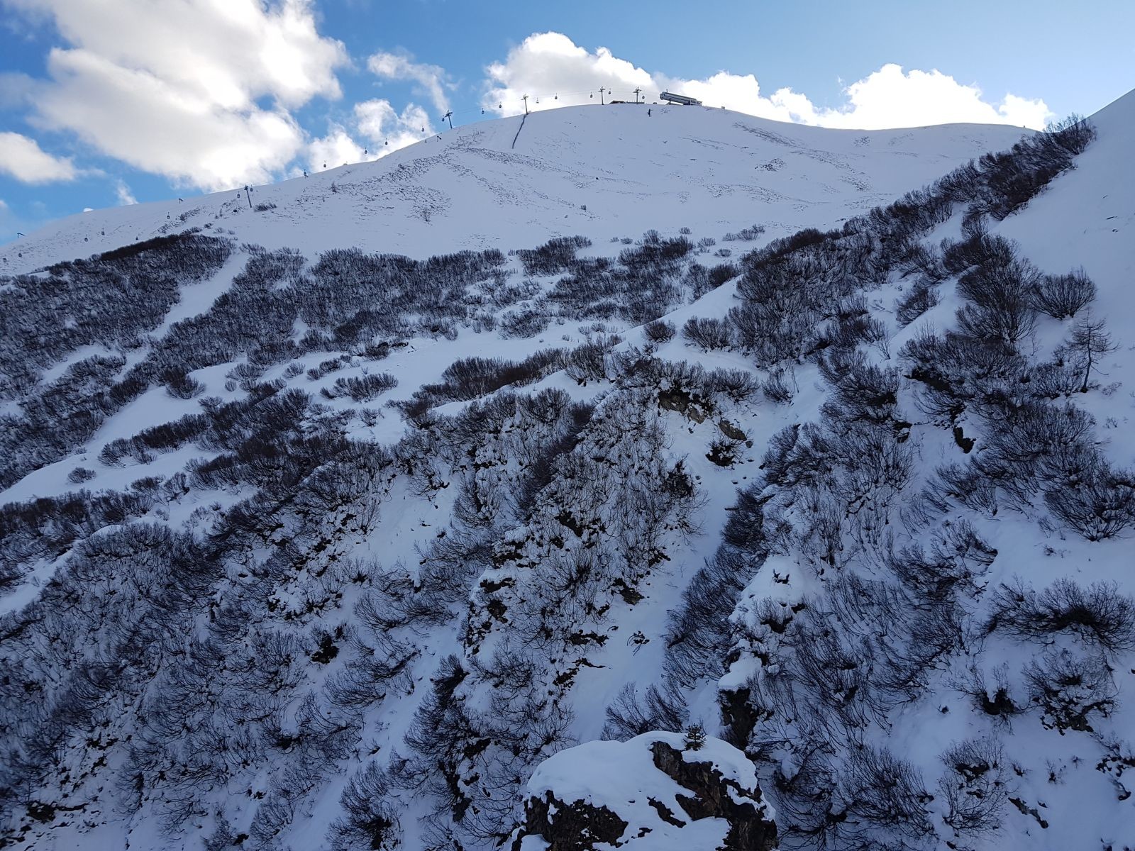 Am Lazid schauen die Büsche noch 2-3 Meter aus dem Schnee heraus.
