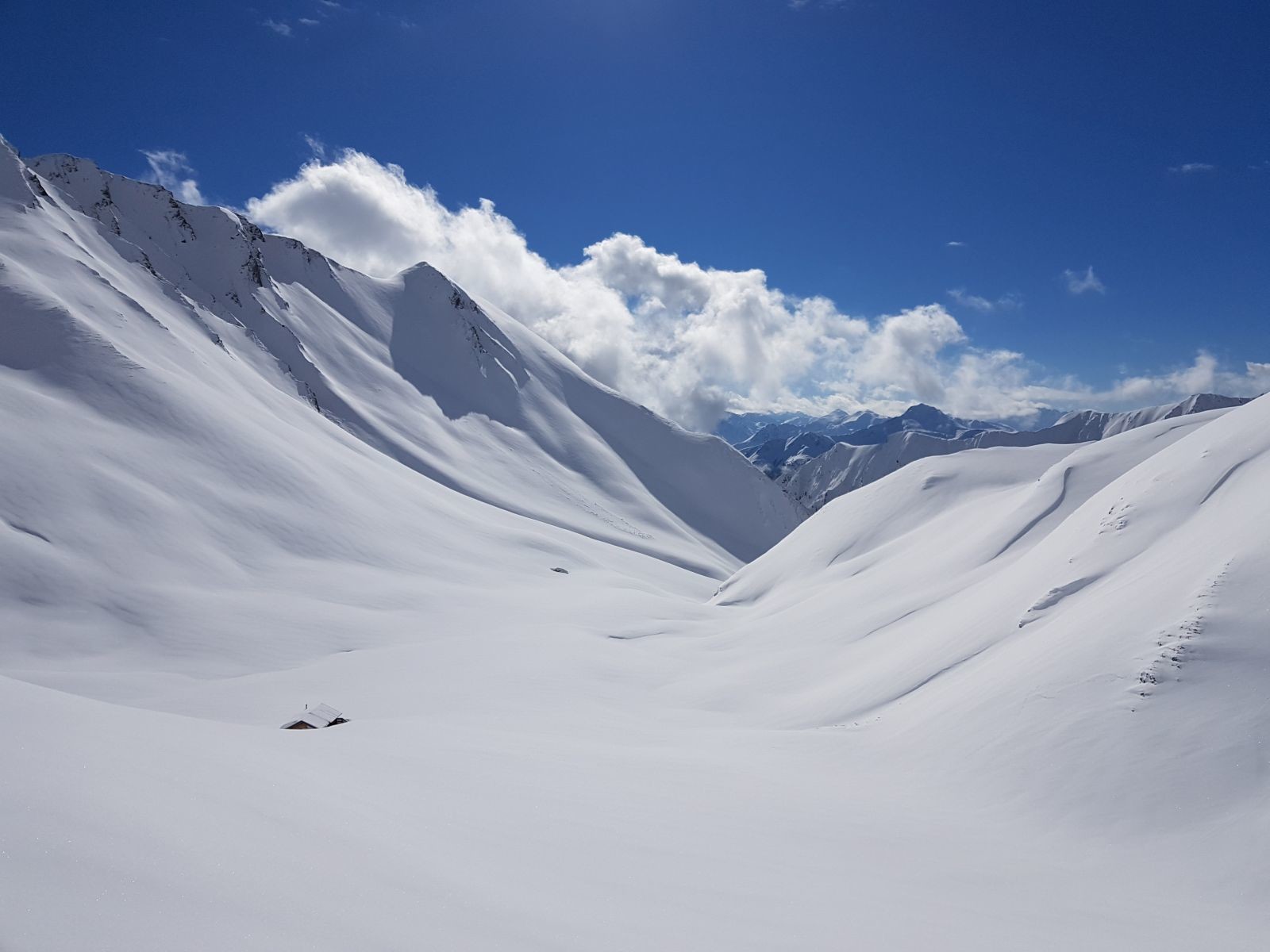 Weg ist sie; März 2019