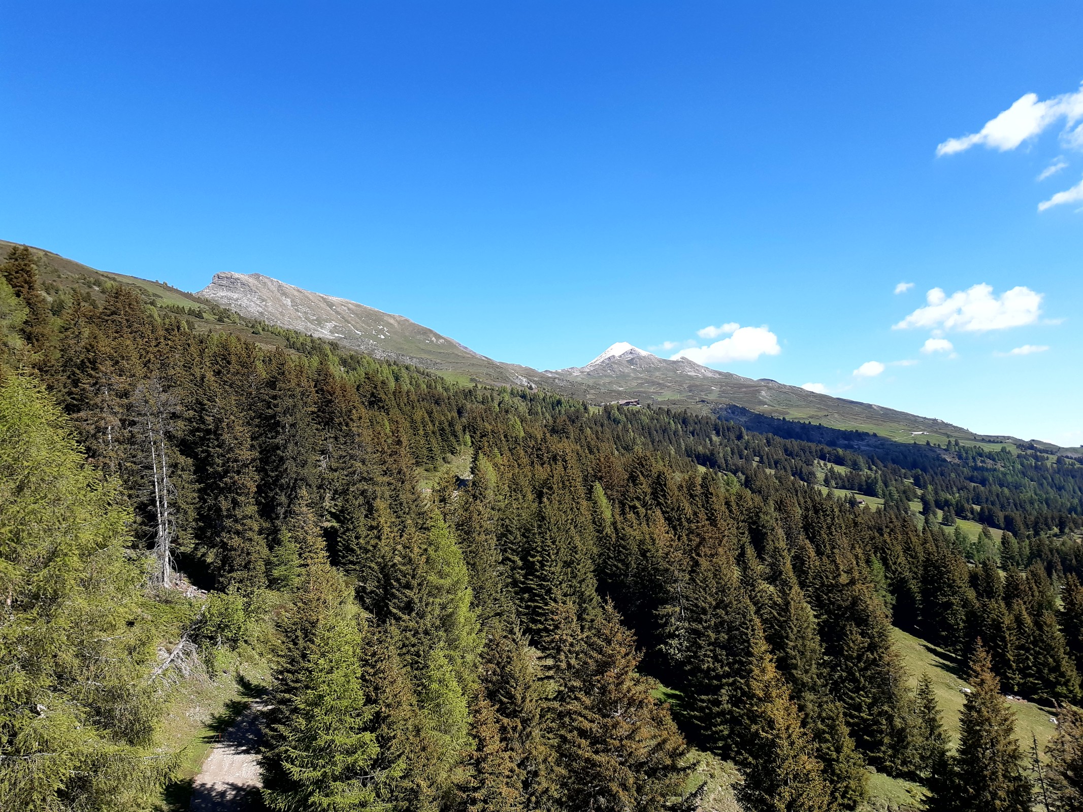 Piz Danis und Stätzerhorn. Etwa in Bildmitte die Alp Nova, rechts unterhalb die Alp Lavoz