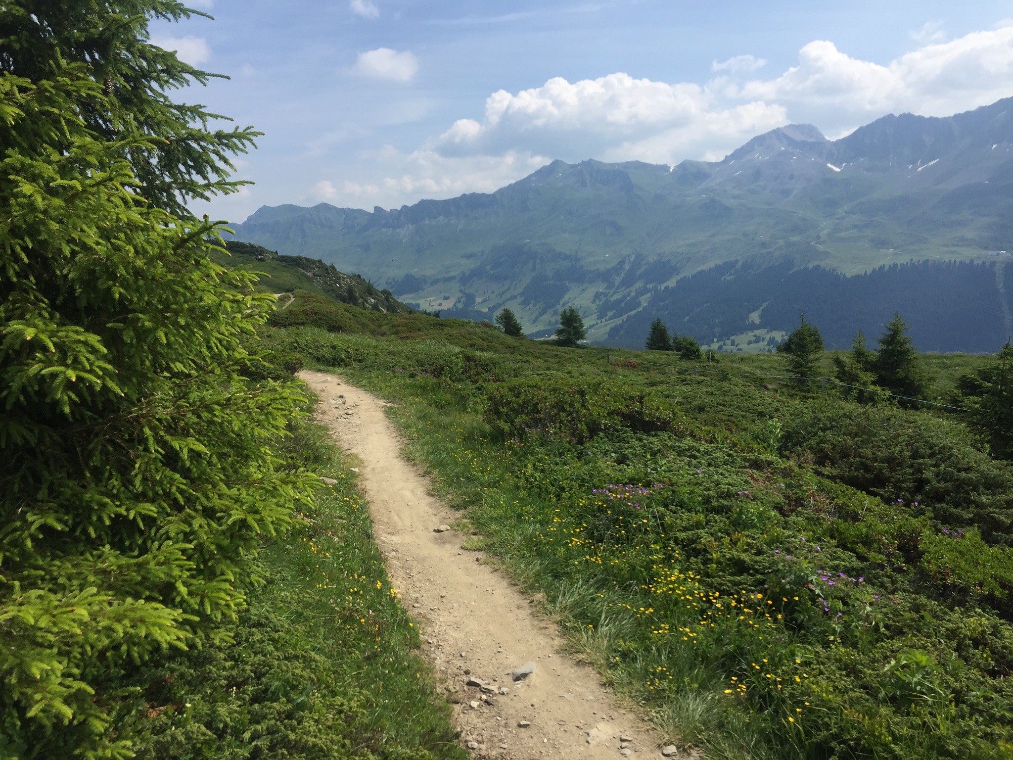 Das oben beschriebene Teilstück vor dem Anstieg entlang der KSB Lavoz. Für die Kenner der Pistennummern: Hier befinden wir und im Bereich der Piste 55. Der folgende Anstieg (etwa 120 Höhenmeter) verläuft teilweise auf dieser Piste.