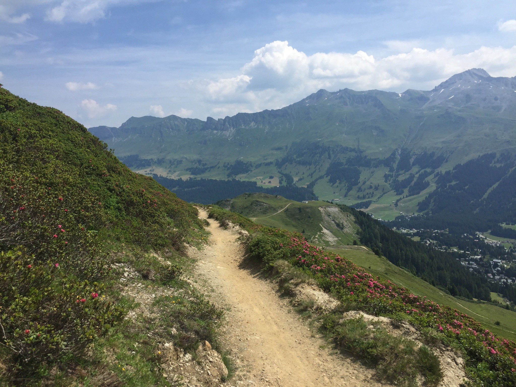 Abfahrt Lavoz - Alp Stätz. Die Aussicht ist auf diesem Abschnitt grandios!